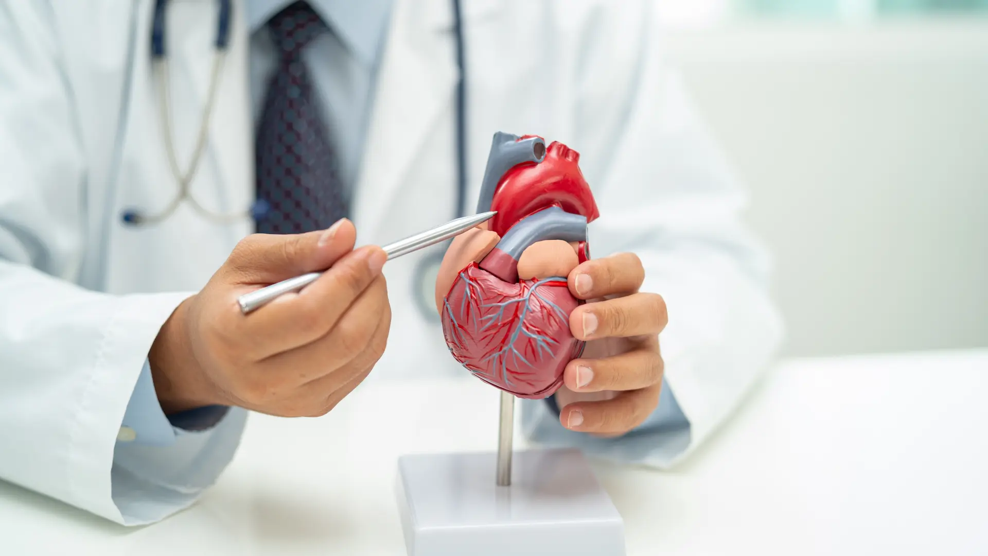 shutterstock_2428158617 srce zdravlje srca kardiolog srce hears srčani udar doktor lekar zdravlje arterije-69afd1cd997aa.webp