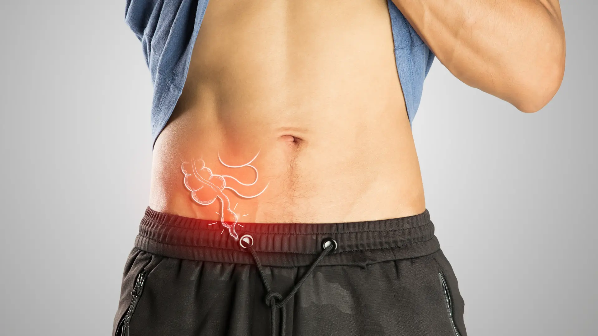 shutterstock_2615771369 slepo crevo creva stomak-69bba47de3f8b.webp