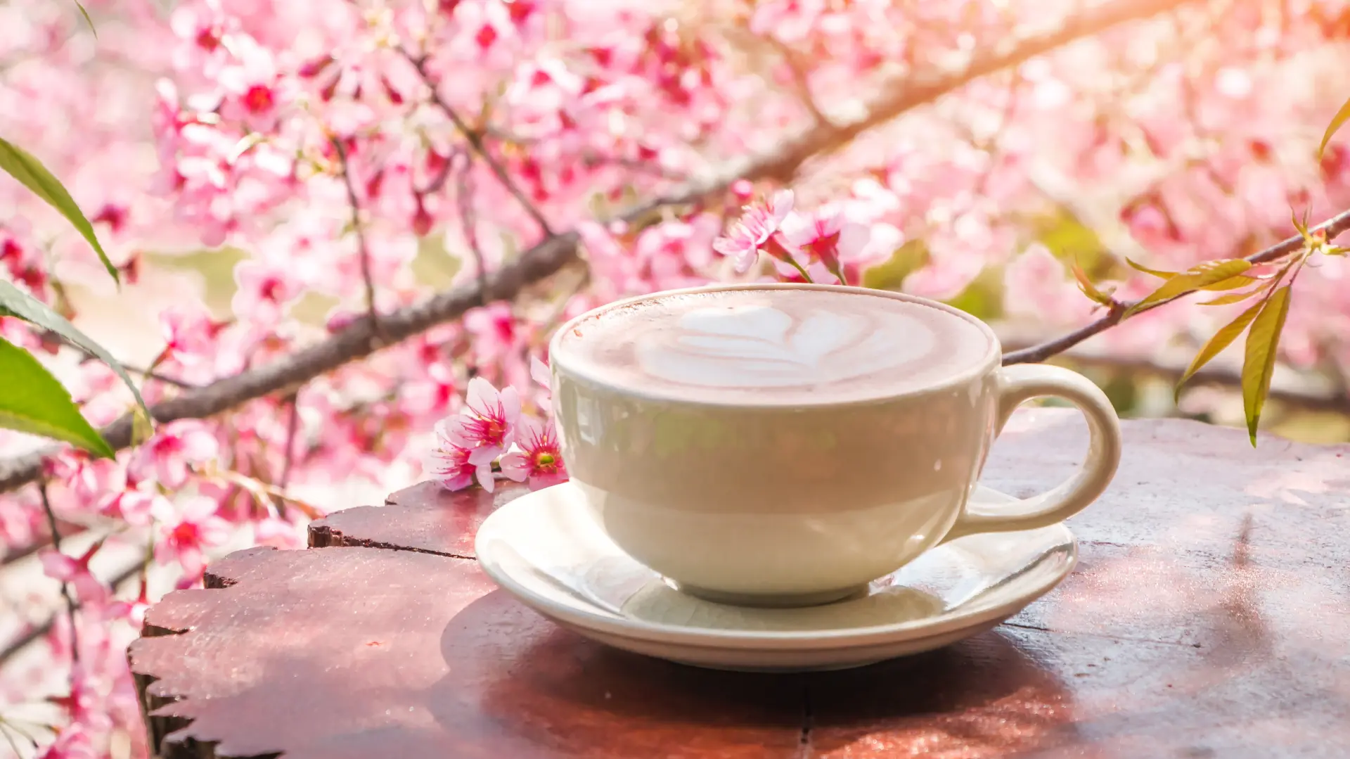 shutterstock_683959837 kafa polen alergija proleće cvet trešnje  cveće bašta-69bece906aa11.webp