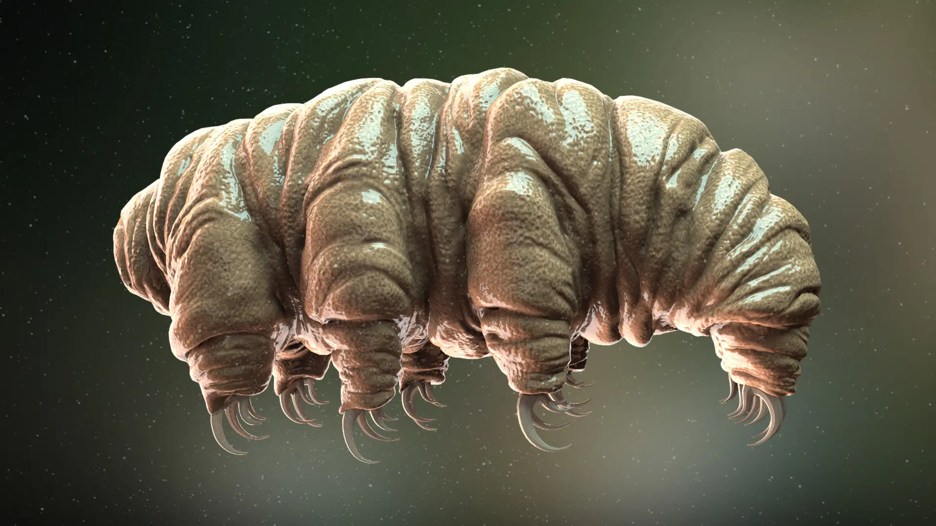 vodeni medved tardigrad shutterstock-69b3d68a473aa.webp