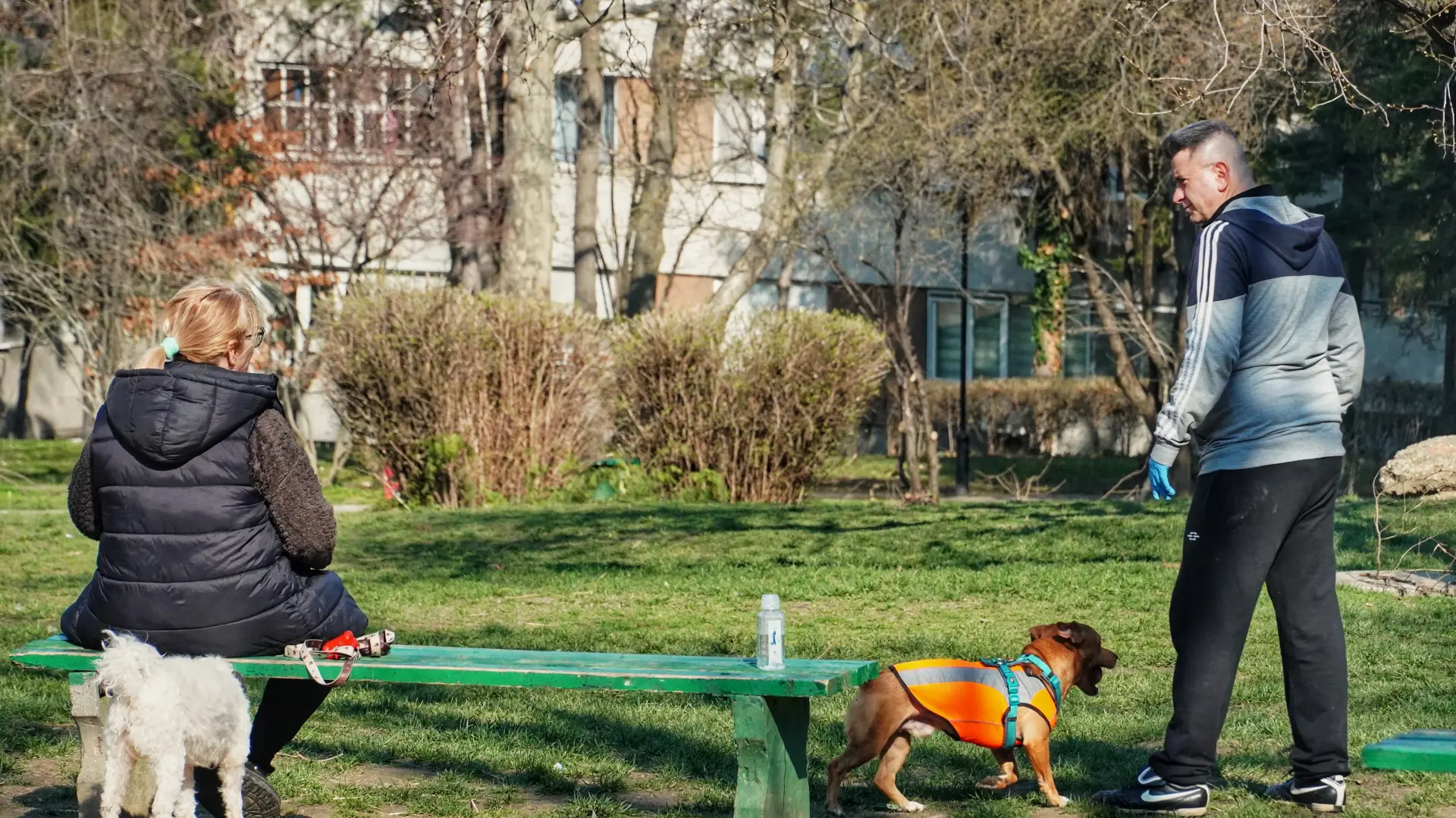vreme lepo sunce ljudi šetnja beograd pas proleće-69aeaa640bcdf.webp