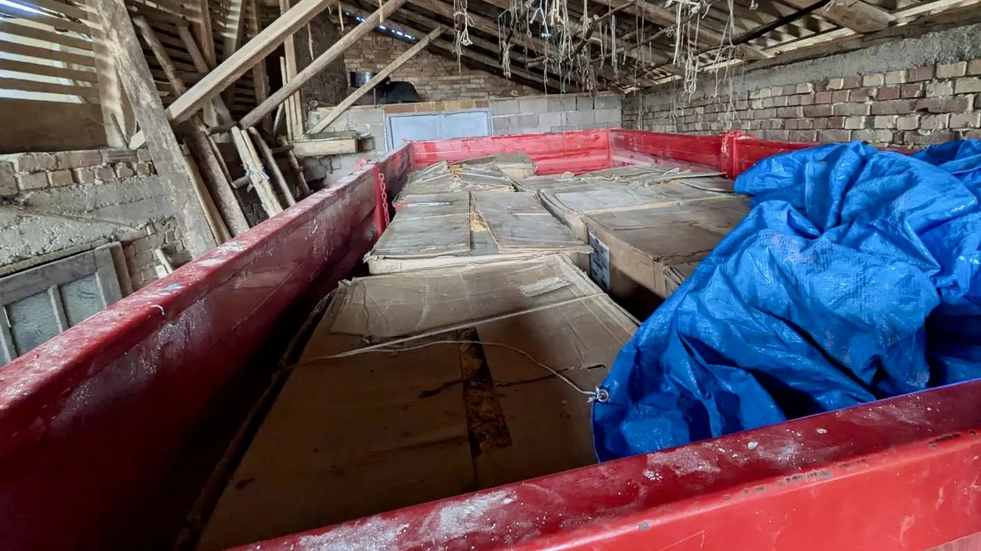 zaplena duvana Sremska Mitrovica-69a8801c455ef.webp