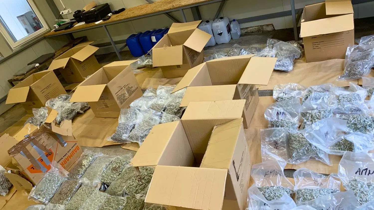 zaplena marihuane Šid MUP-69c5856ca1987.webp