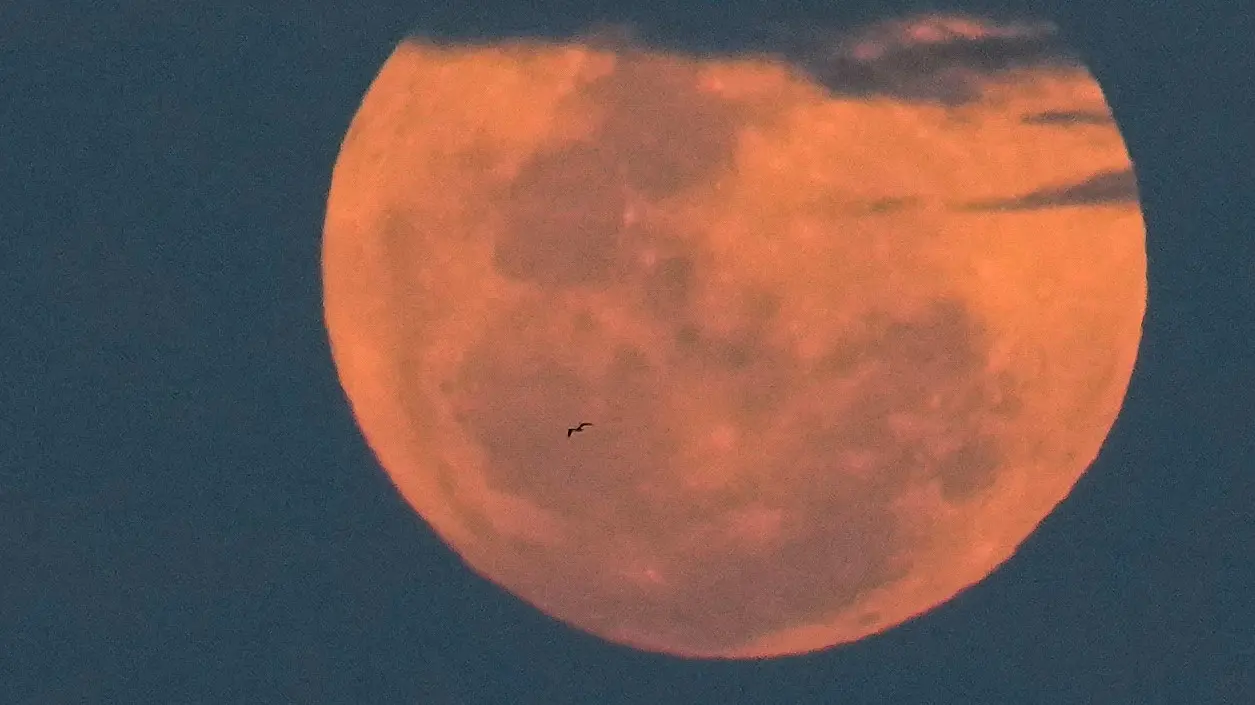 AP PhotoMatias Delacroix mesec horoskop veče-69db725f84500.webp