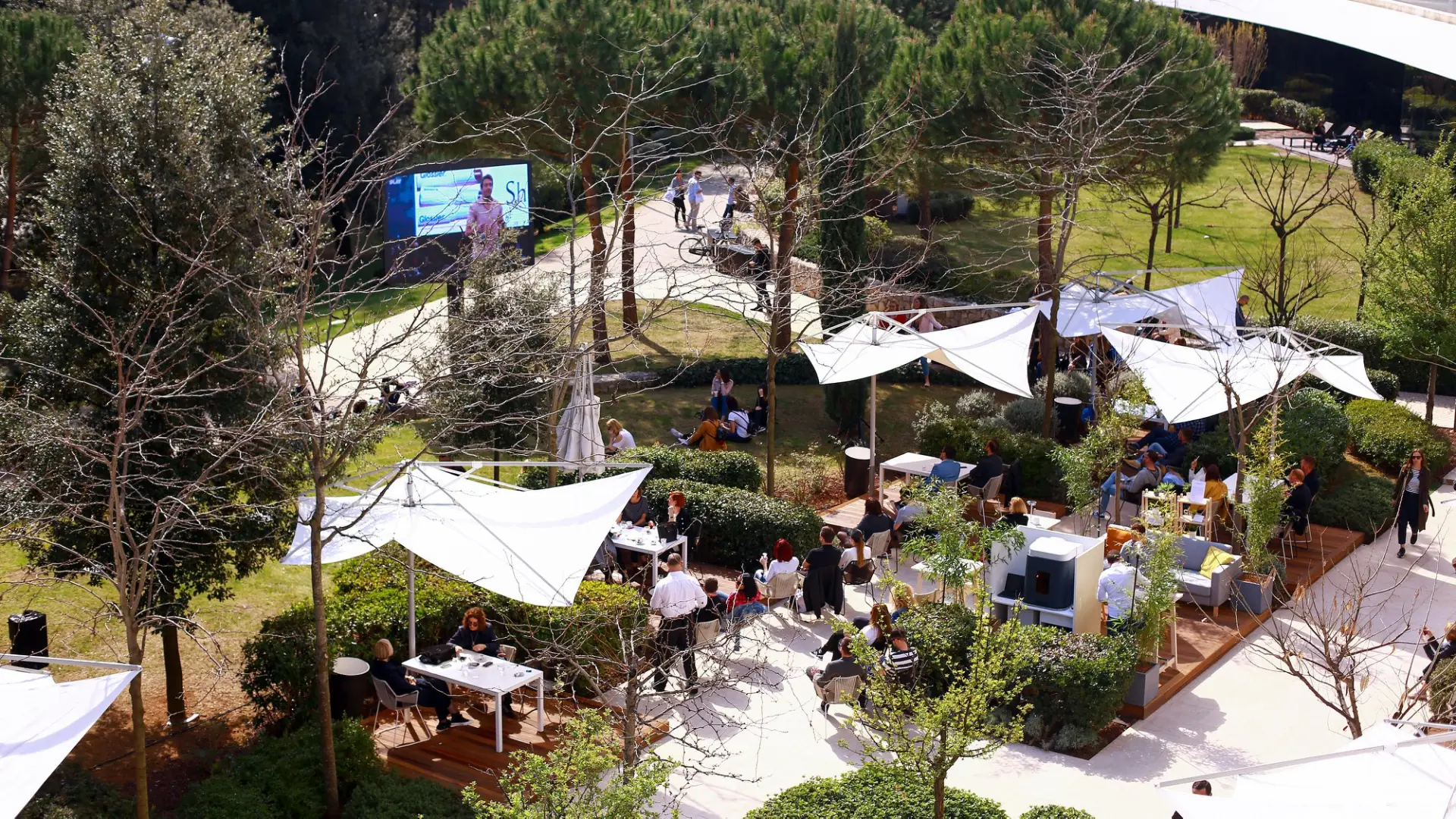 Dani Komunikacije, Promo, Borna Filić, Pixxel-69d781ab25619.webp