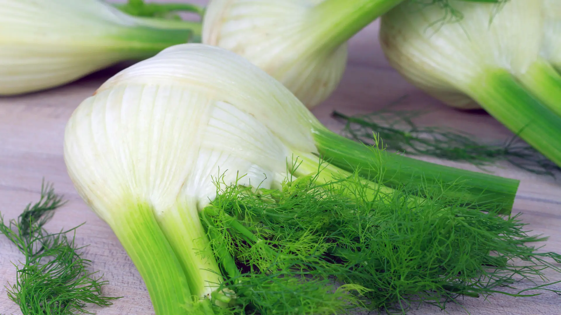 Komorač pixabay-69df876f680d9.webp