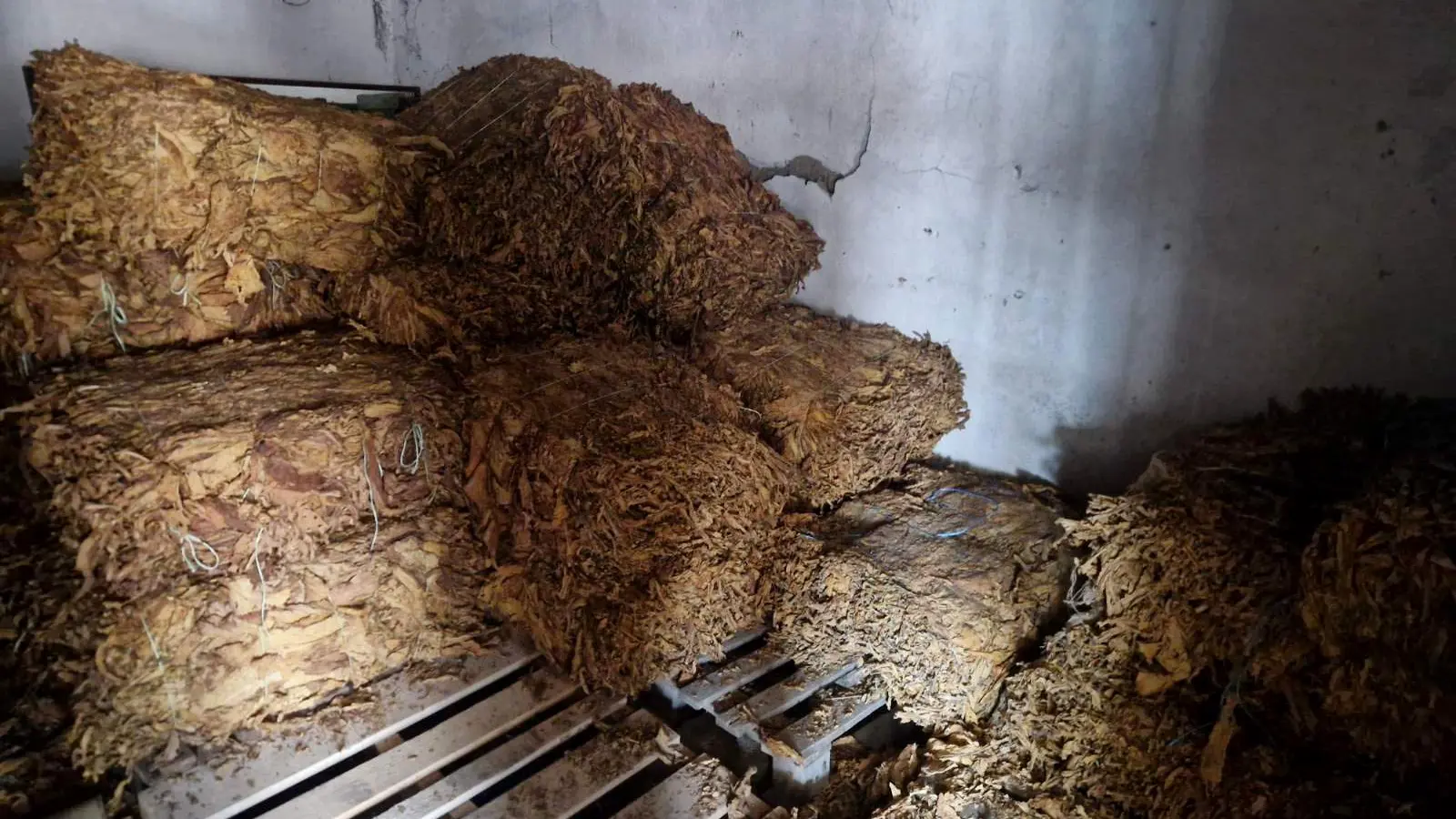 MUP, Sremska Mitrovica, zaplena duvana-69ef8ada044a3.webp