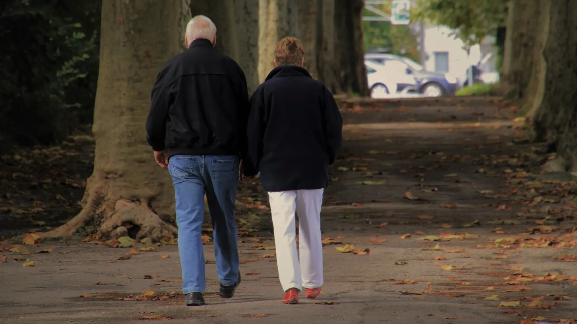 Penzioneri penzije Pixabay Ilustracija-69d8c5943dba7.webp