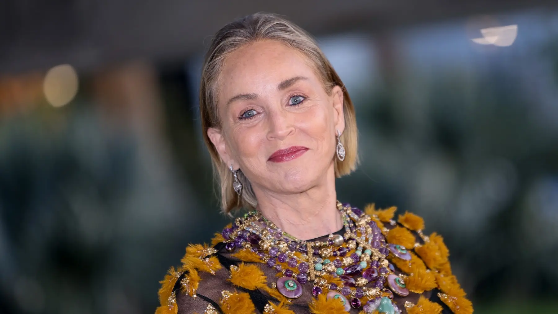 Šeron Stoun, Etienne LAURENT : AFP : Profimedia-69e26931bed1d.webp