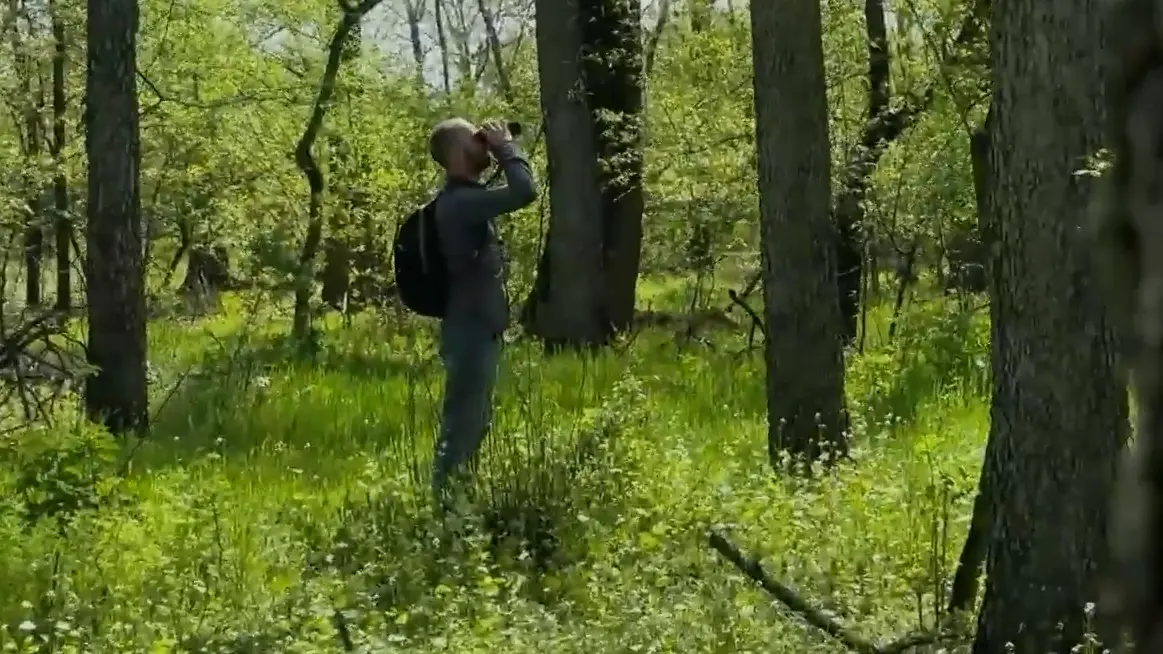 Slavujev lug-69e50e7d02c2b.webp