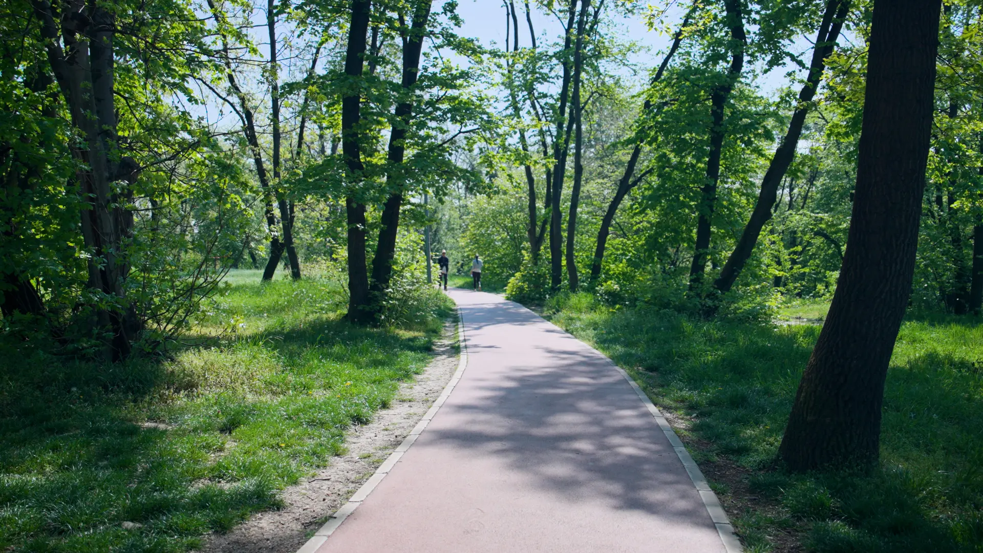 Trim staza Košutnjak, PROMO-69e7376fbb63a.webp