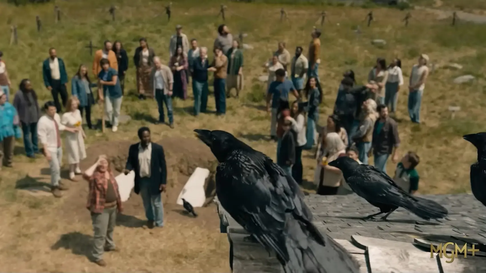 YouTube printscreen, Rotten Tomatoes TV serija From-69e72dacbad69.webp