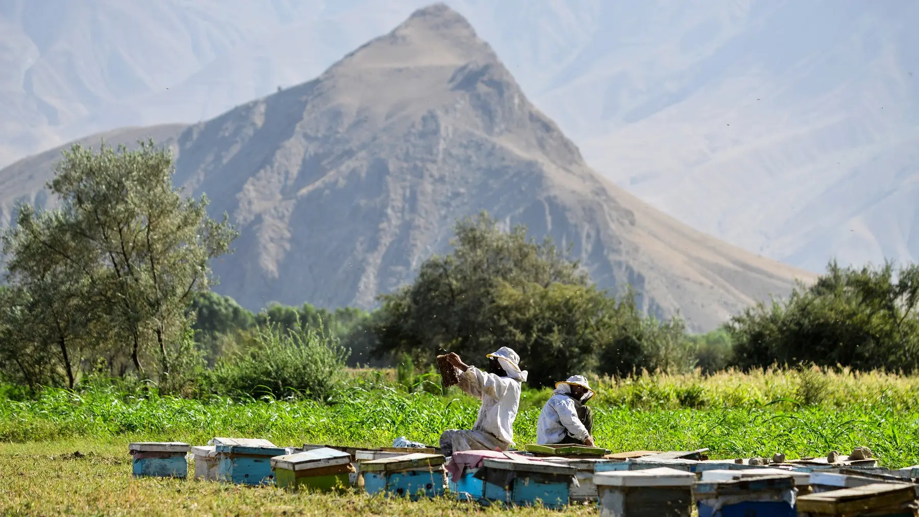 avganistan profimedia-1027979705-69e3c5879a8e1.webp