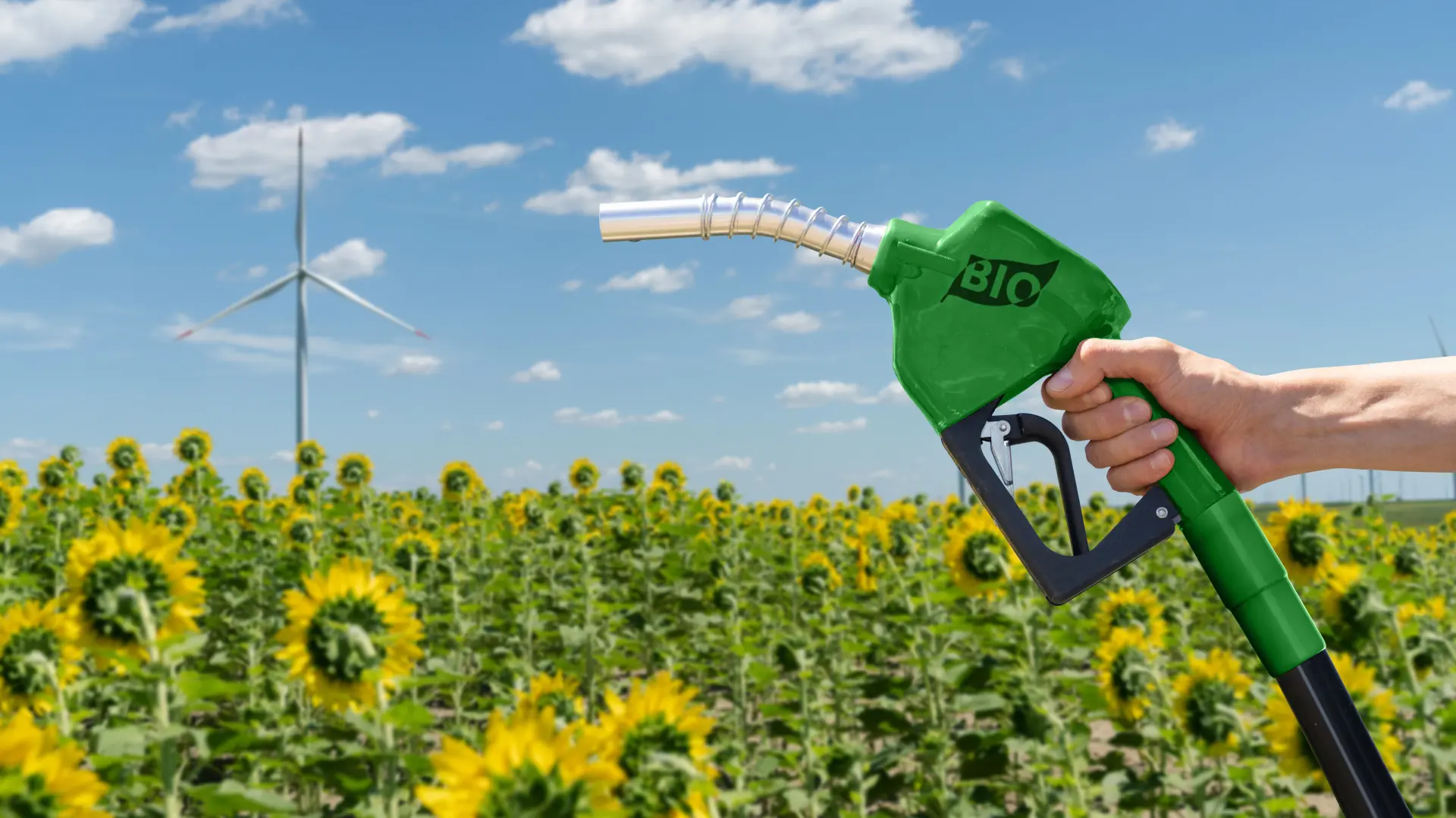 biogoriva shutterstock_2495080315-69f325fd69a06.webp