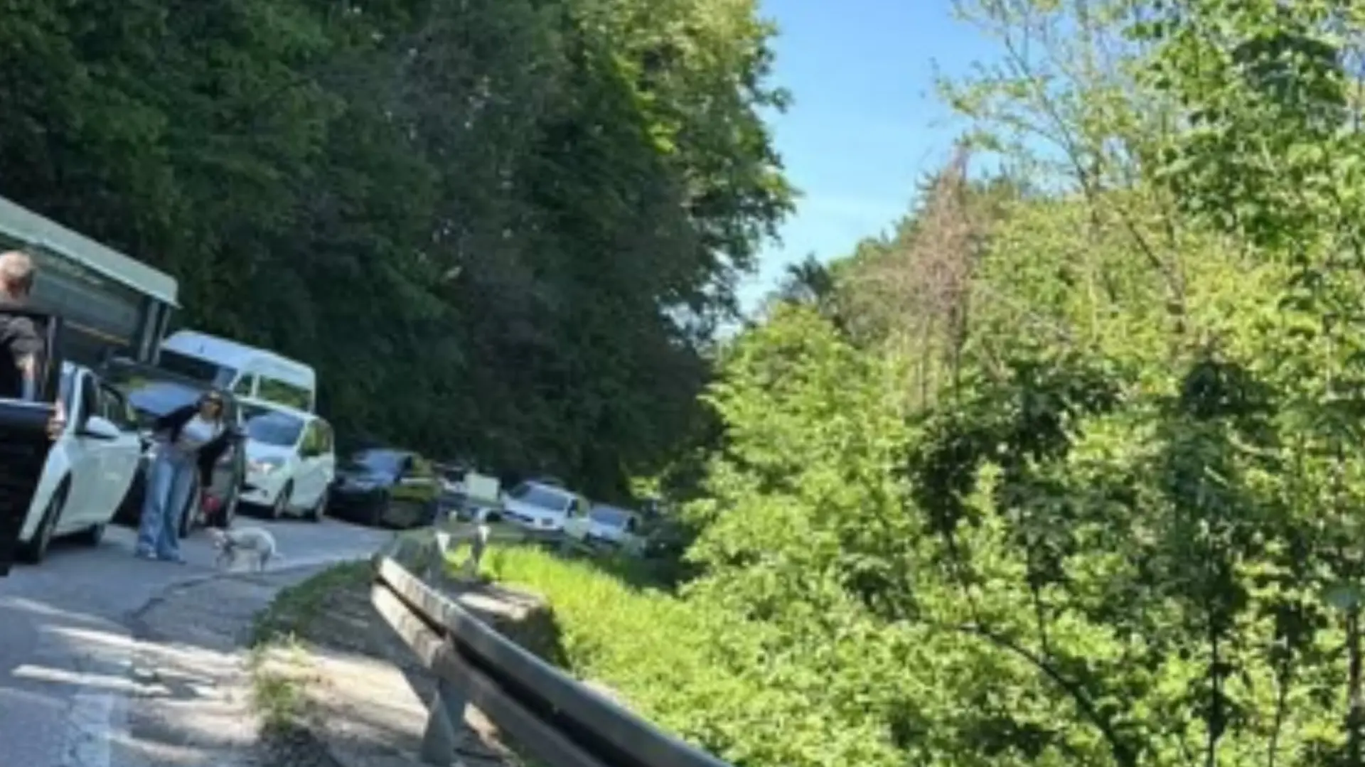 cisterna iriški venac printscreen instagram 192_rs-69ecbe602c1be.webp