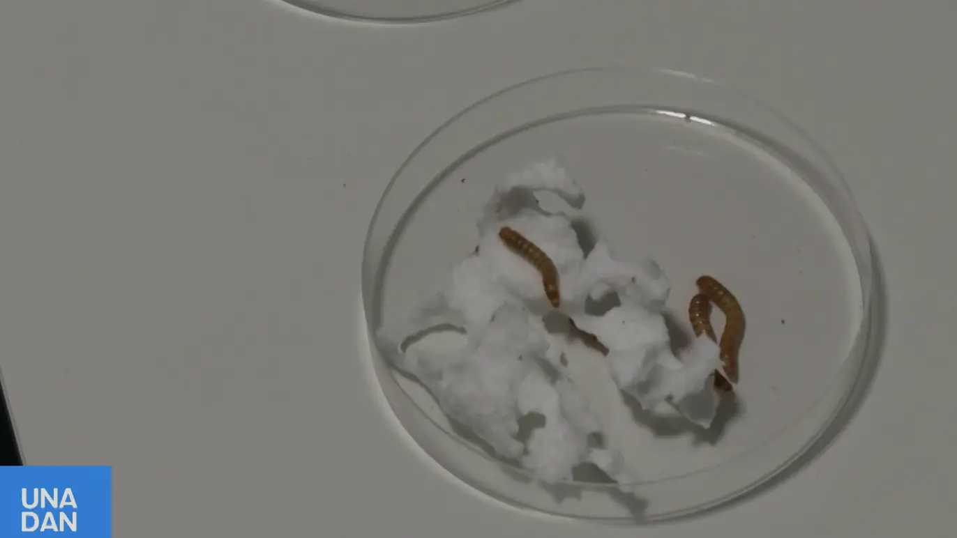 crvi u plastici-69f0eca0258d9.webp