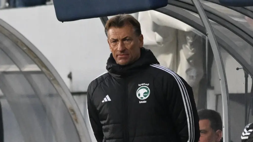 erve renar TANJUGAMIR HAMZAGIĆ-69e2662f8906e.webp