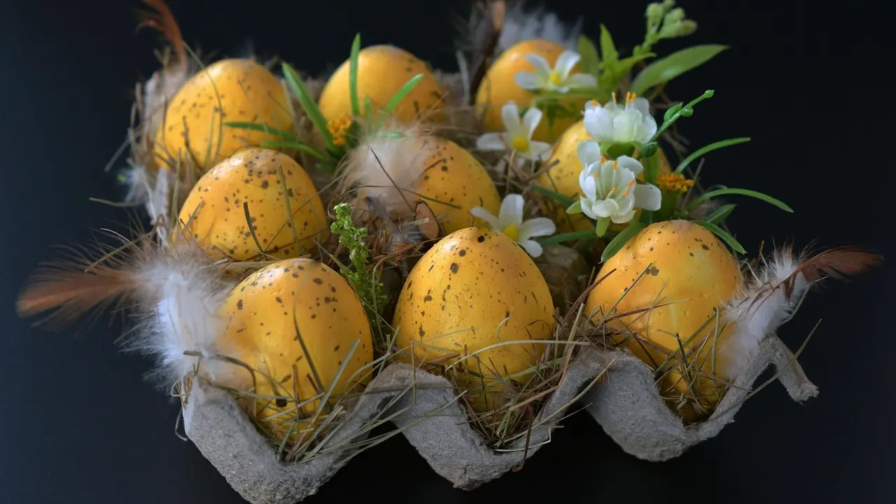 farbanje jaja, farbana jaja, uskršnja jaja, Uskrs, pixabay-69d78cdfbca15.webp