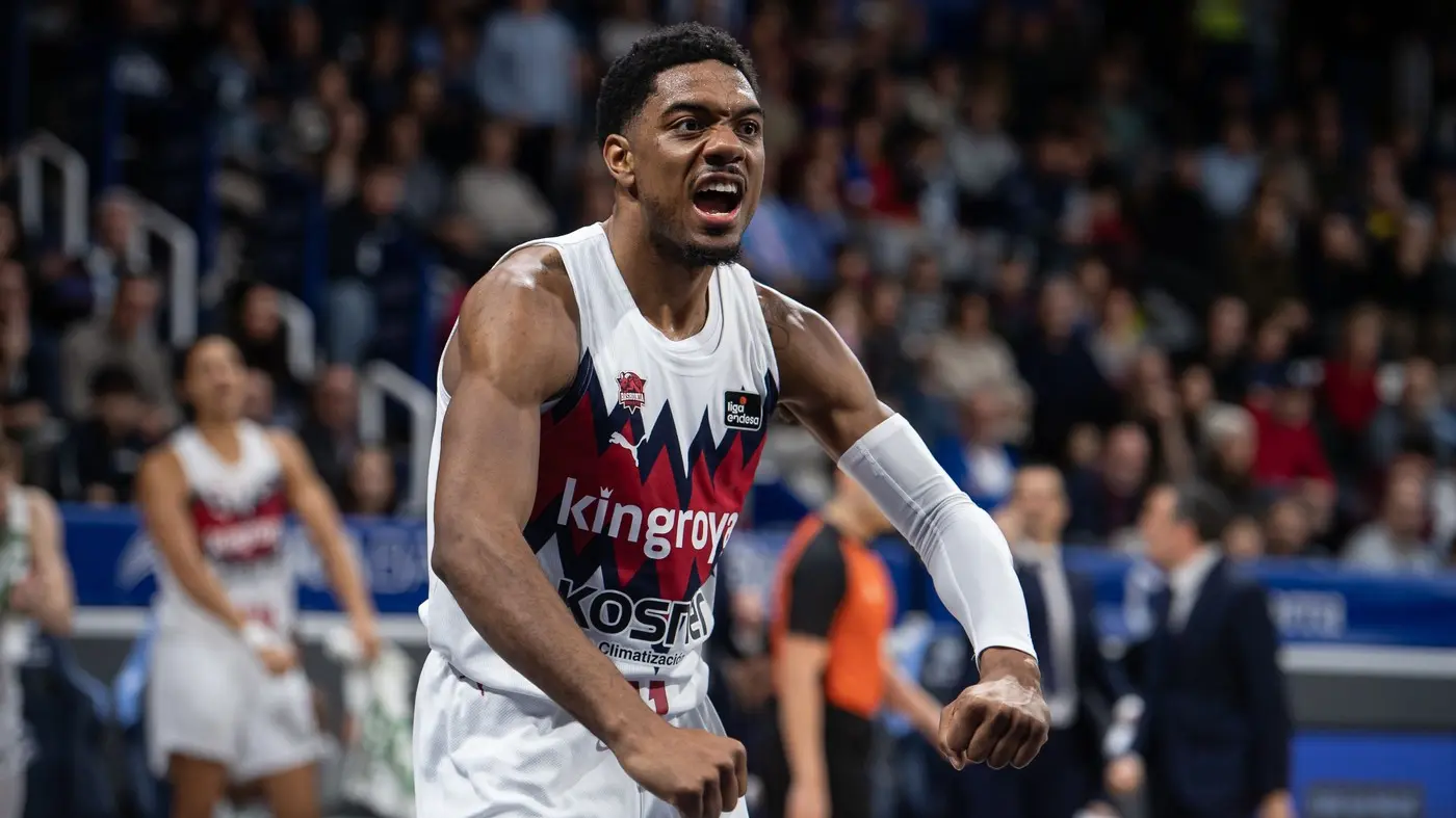 forest profimedia-69d50b4796f32.webp