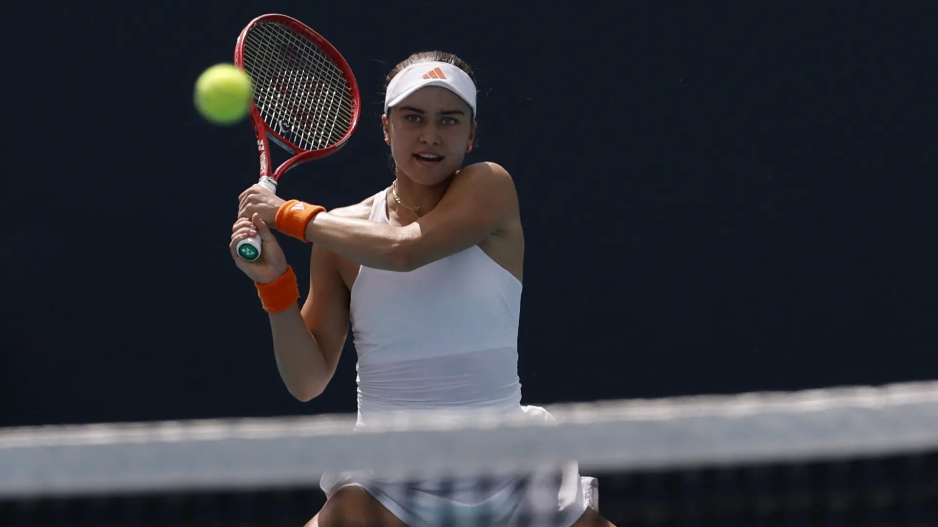 iva jović IMAGN IMAGES via Reuters Connect-69d20b94a5477.webp