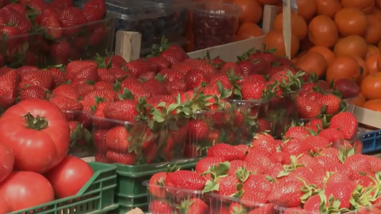 jagode banjička pijaca-69ea57ed60b8f.webp