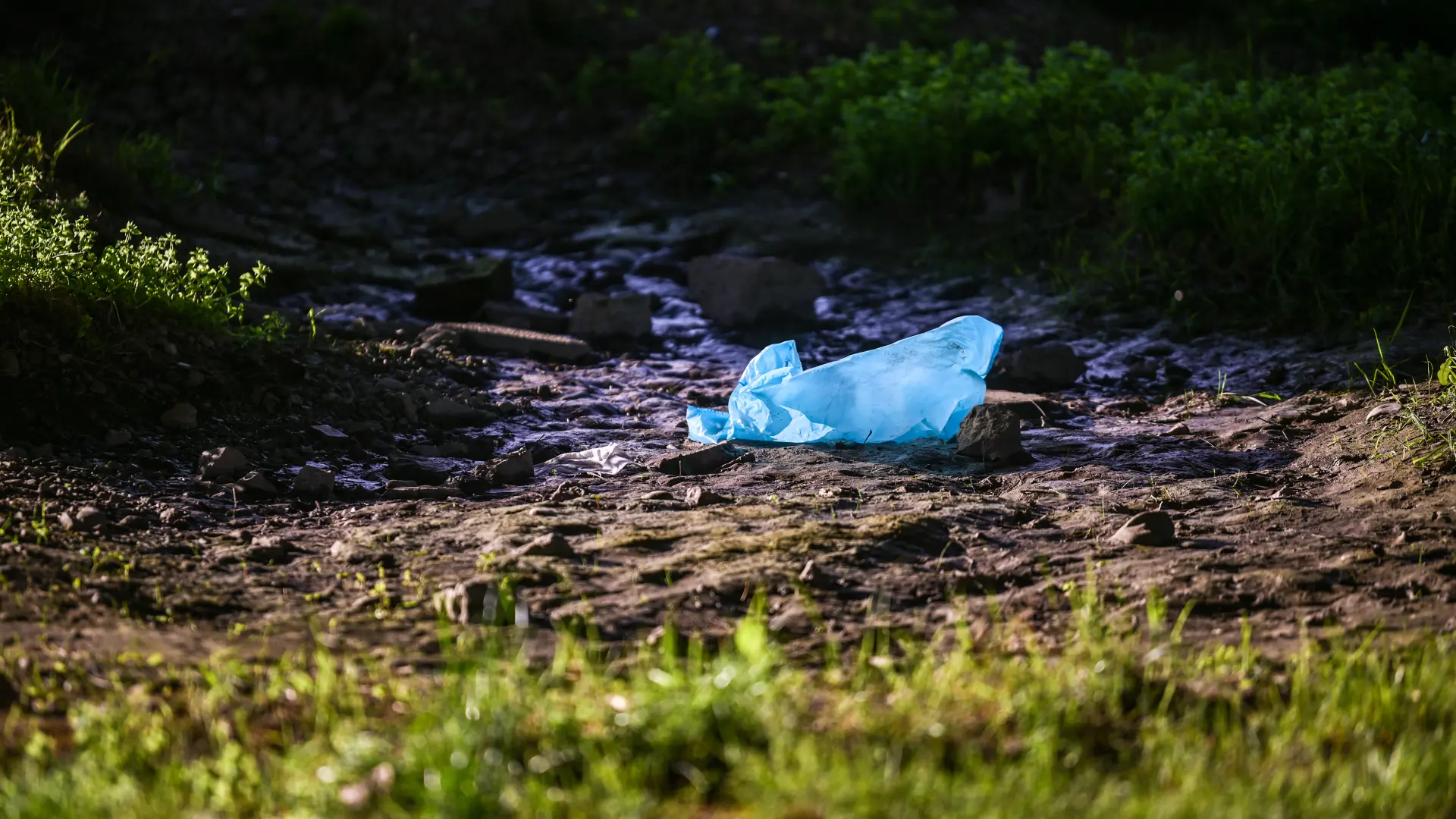 ljudske kosti reka sava zagreb hrvatska Pixsell  Igor Soban-69d16e43dcd17.webp