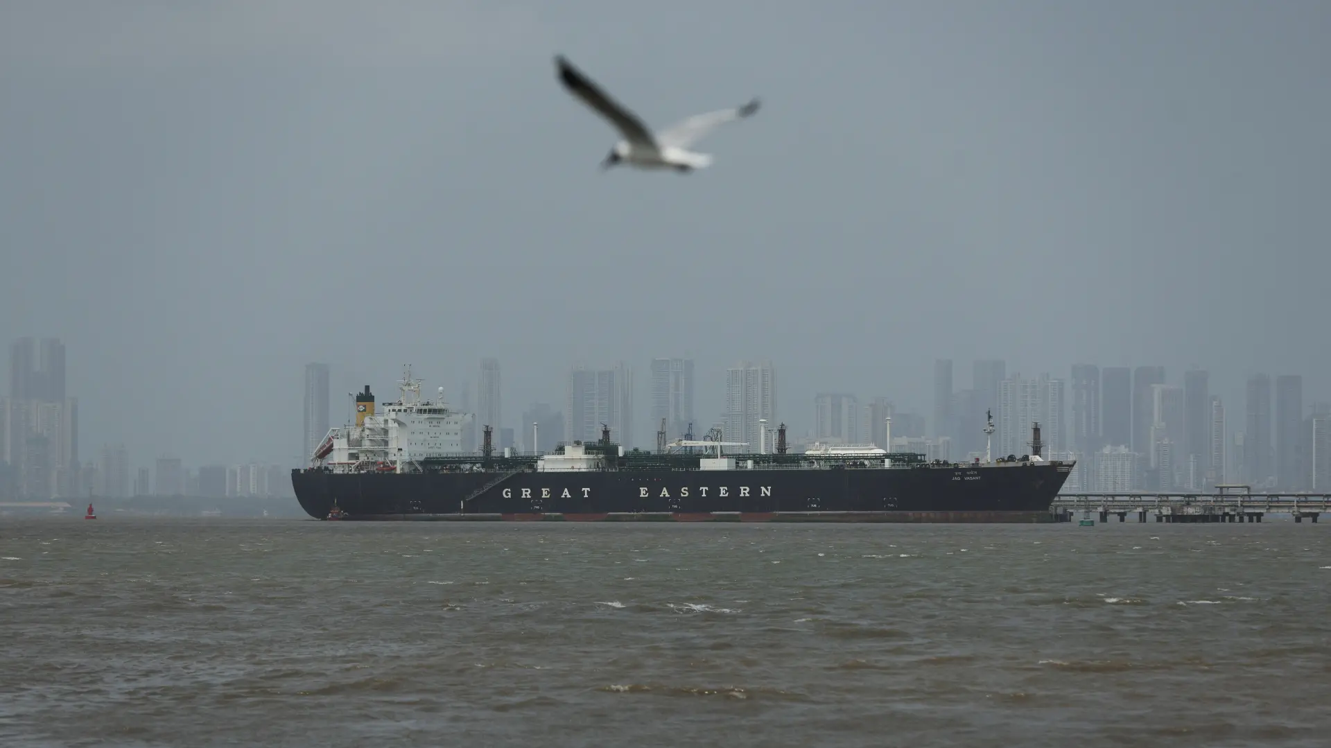 ormuski moreuz REUTERSFrancis Mascarenhas-69cd1e616ddfb.webp