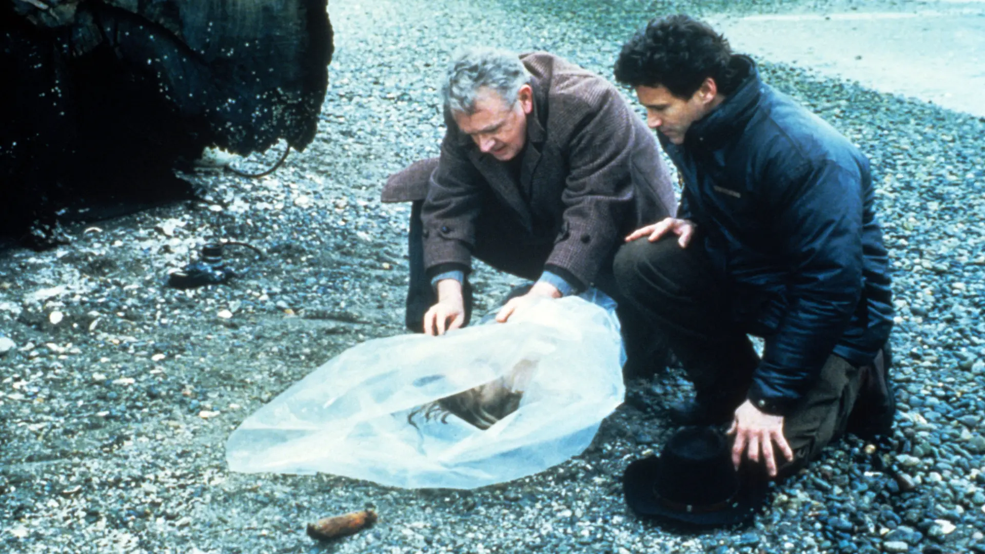 profimedia-0332077049 Twin Peaks tvin piks-69d66c57e00d0.webp