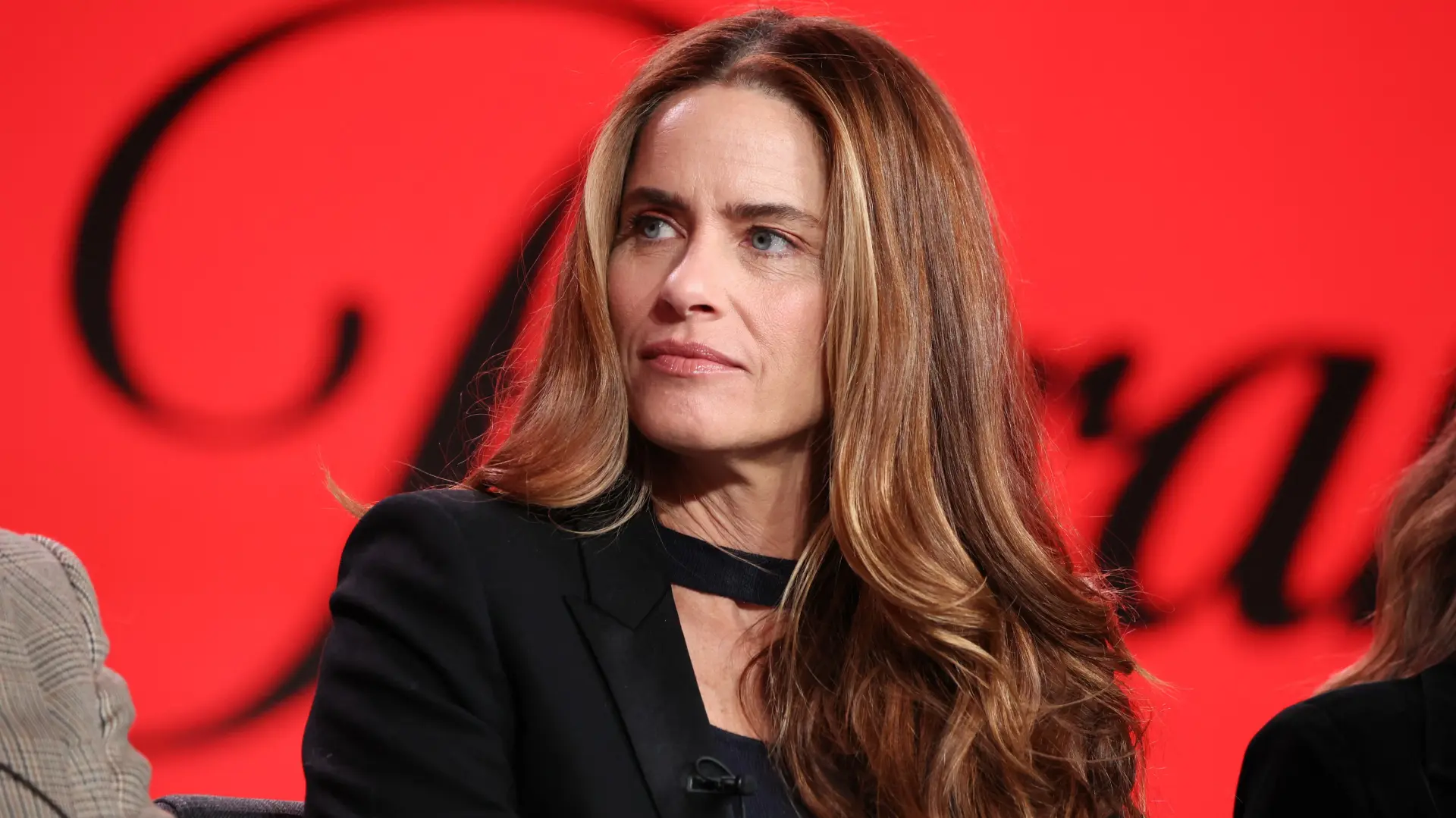 profimedia-0748642117 Amanda Pit-69cf5887e0fd4.webp