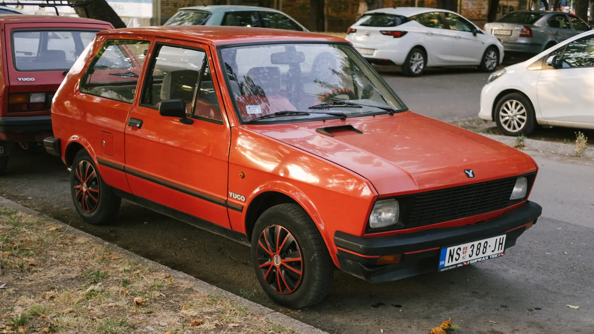 shutterstock, Jugo  45 koral-69d8f394dc321.webp