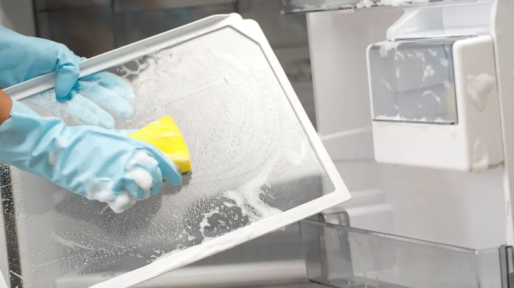 shutterstock, ribanje frižidera, frižider, čišćenje frižidera-69cce8dadb5a2.webp