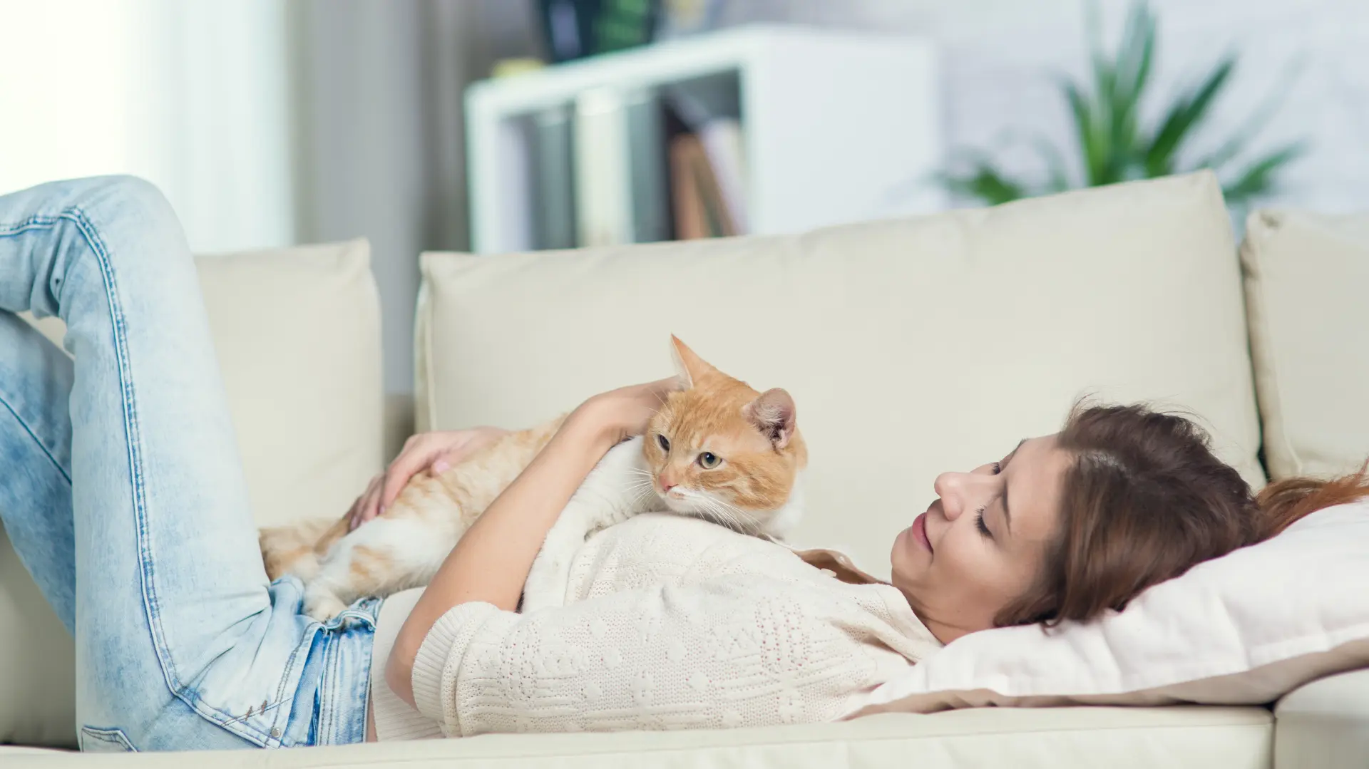 shutterstock_1055457638 mačka mačke devojka kućni ljubimac bolestan bolesna-69d665a84f4aa.webp