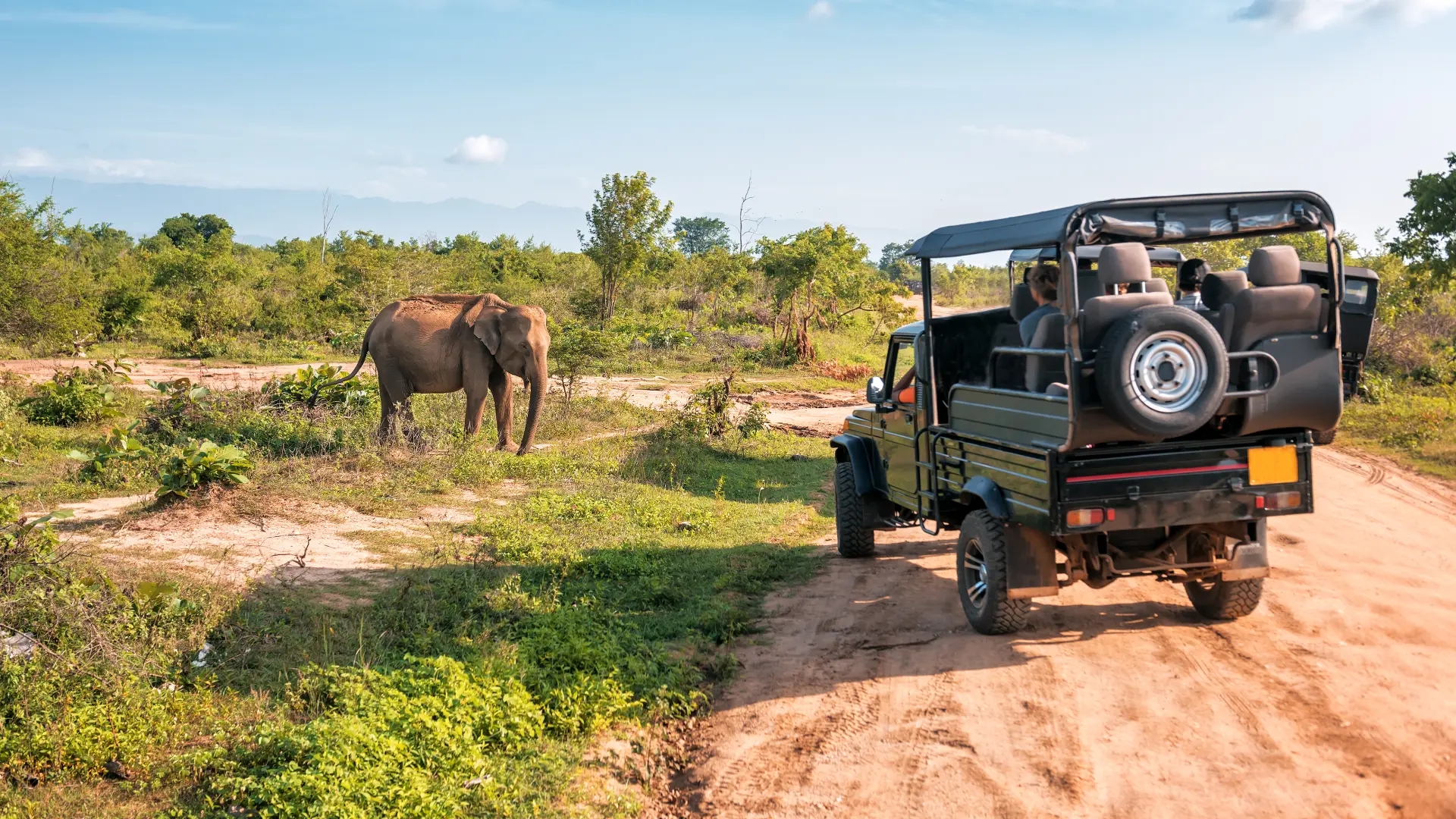 shutterstock_1524292985 lov životinja afrika putovanje divljina slon slonovi divlje životinje-69eb72073afc1.webp