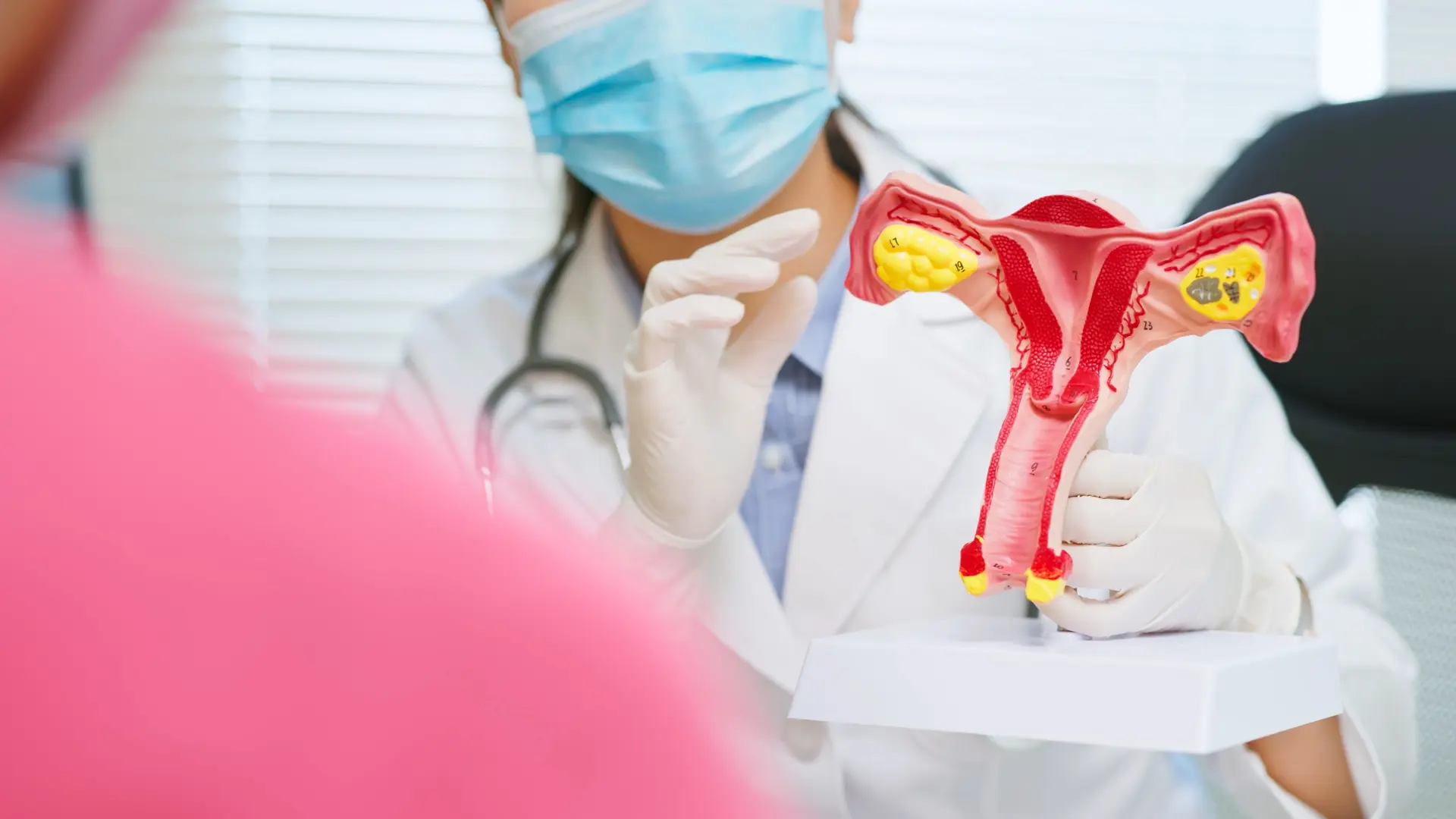 shutterstock_2165864523 rak jajnika grlića materice materica jajnici hpv žena ginekolog-69d5421628d1e.webp