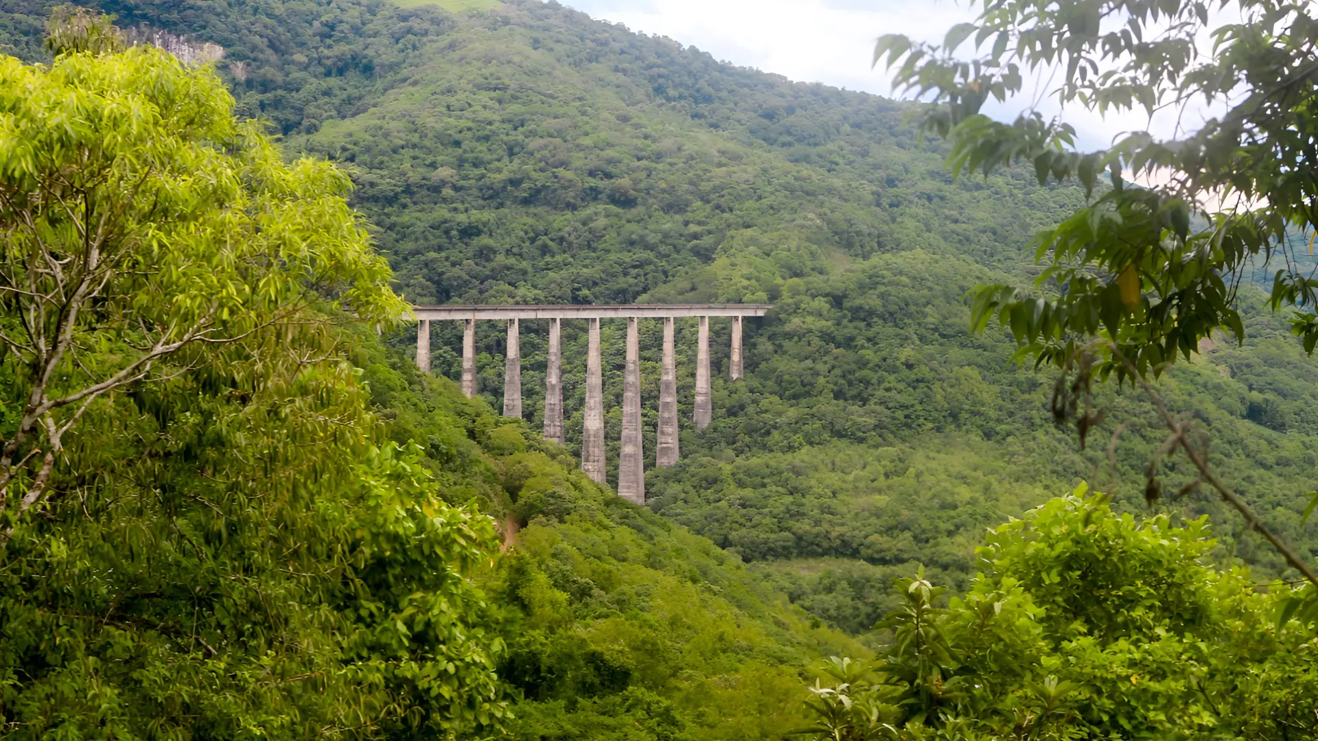 shutterstock_2332257239 vijadukt priroda divljina-69cd5bb188705.webp