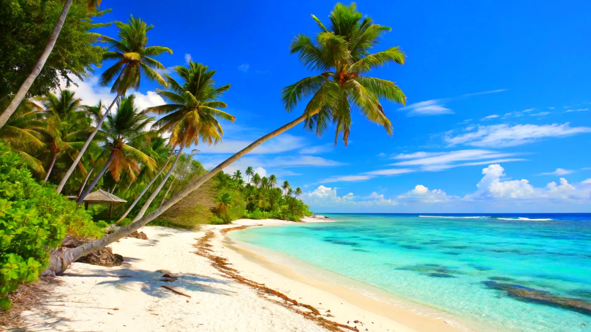 shutterstock_2626522105 egzotična destinacija egzotično putovanje more pesak plaža leto palma odmor uživanje pesak priroda putovanja-69dcf2a1c0aba.webp