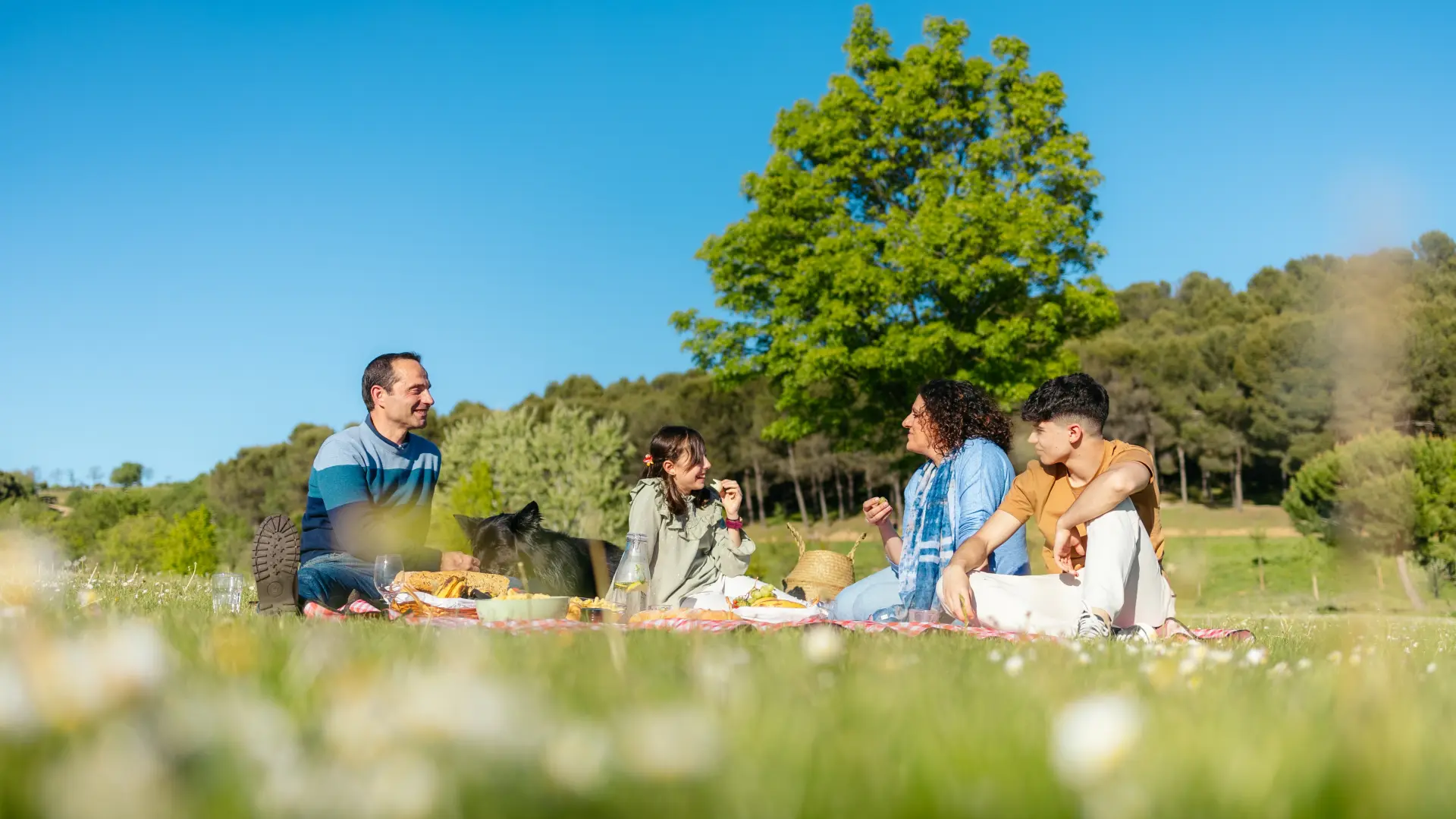 shutterstock_2642002961 priroda izlet uživanje prijatelji proleće ljubav trava porodica pas zelenilo priroda-69e1e3e96d81b.webp