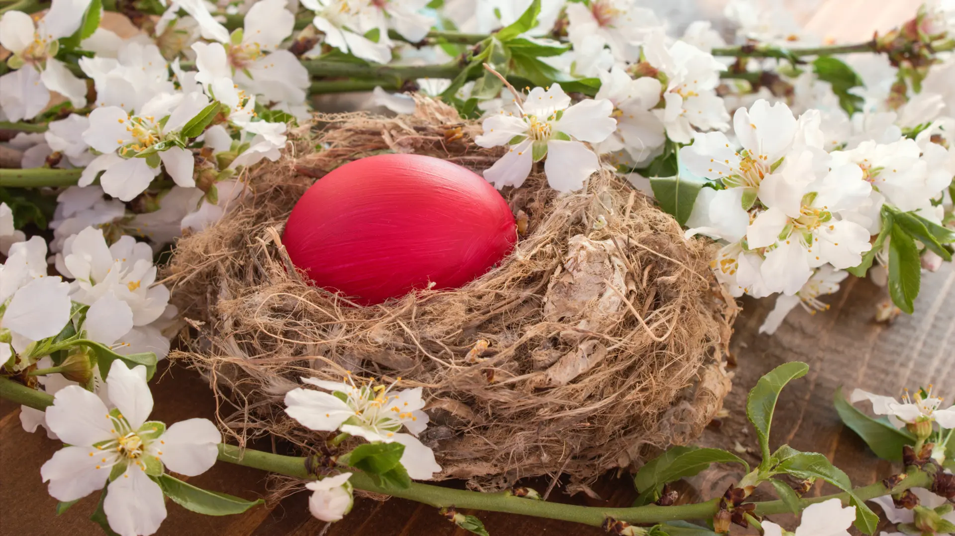 shutterstock_379817671 jaje uskrs čuvarkuća-69d8fb4d3c1ea.webp