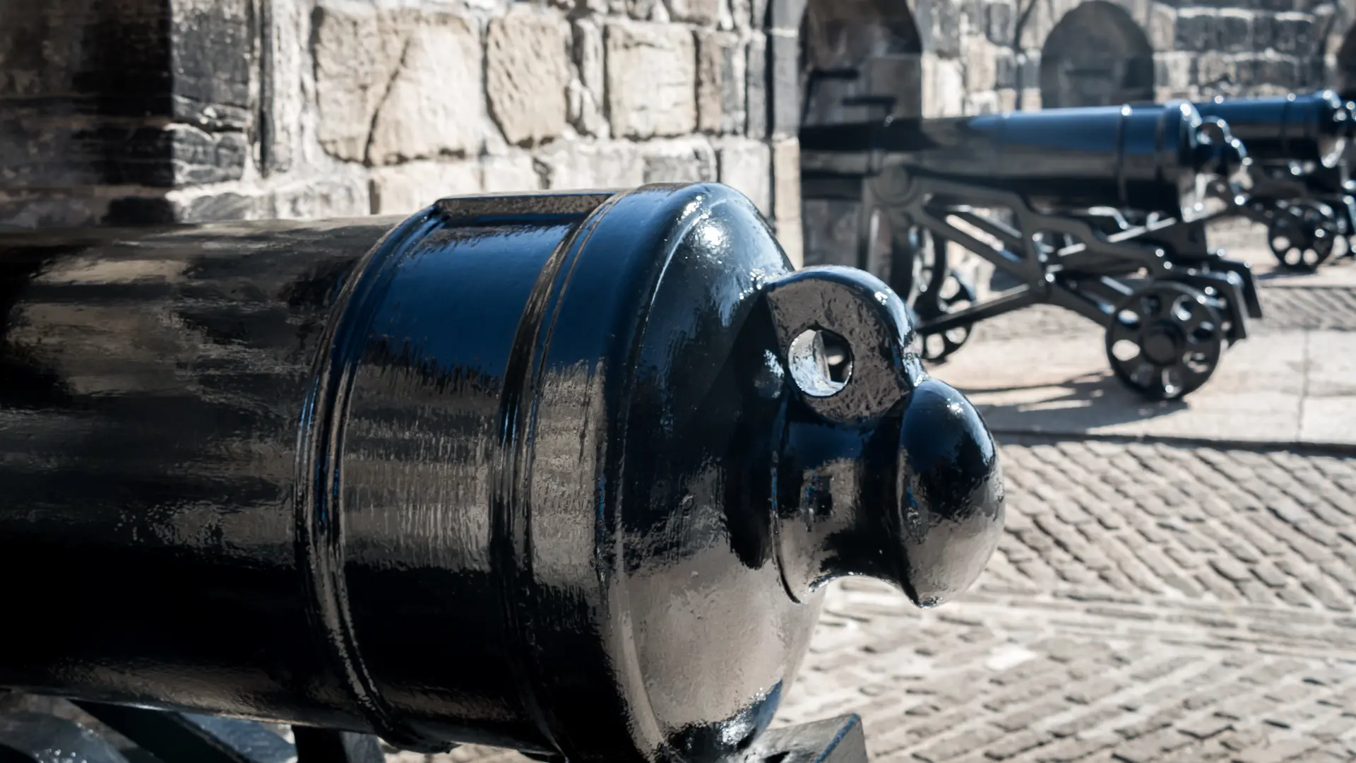 top topovi pixabay ilustracija-69d3d9cc64a71.webp