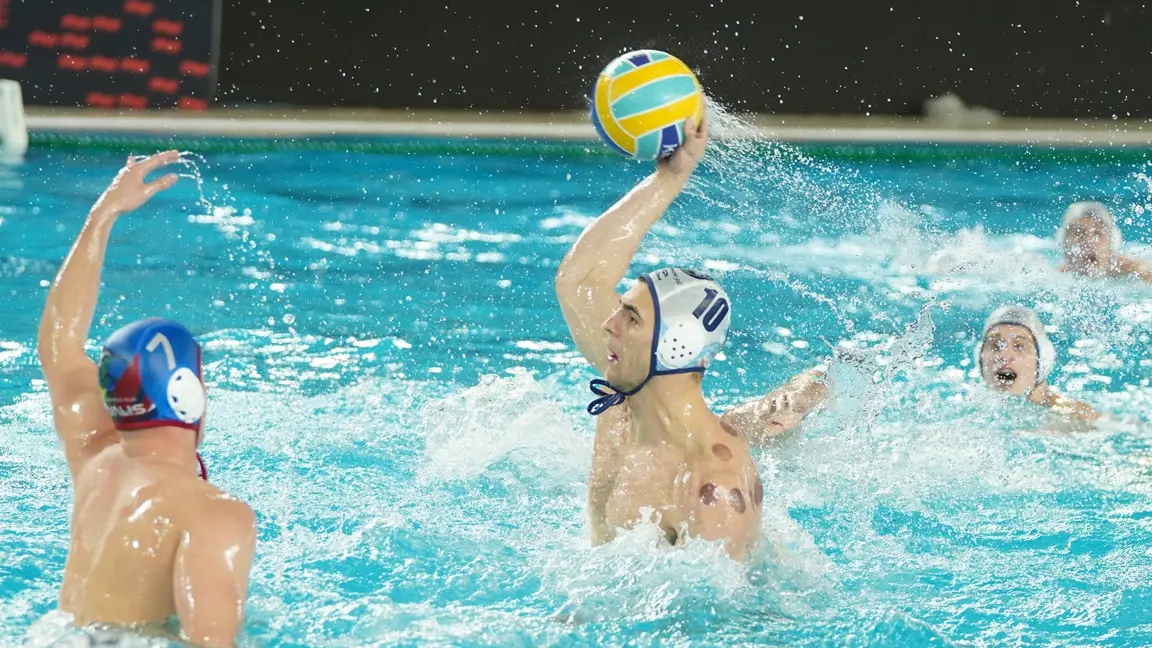 vk novi beograd vk novi beograd-69e912c8a15df.webp