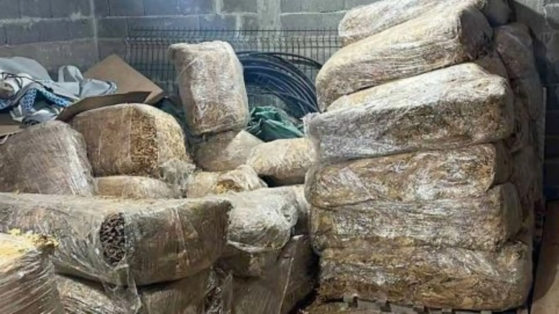 zaplena duvana novi sad MUP srbije (1)-69f20ecf1892e.webp