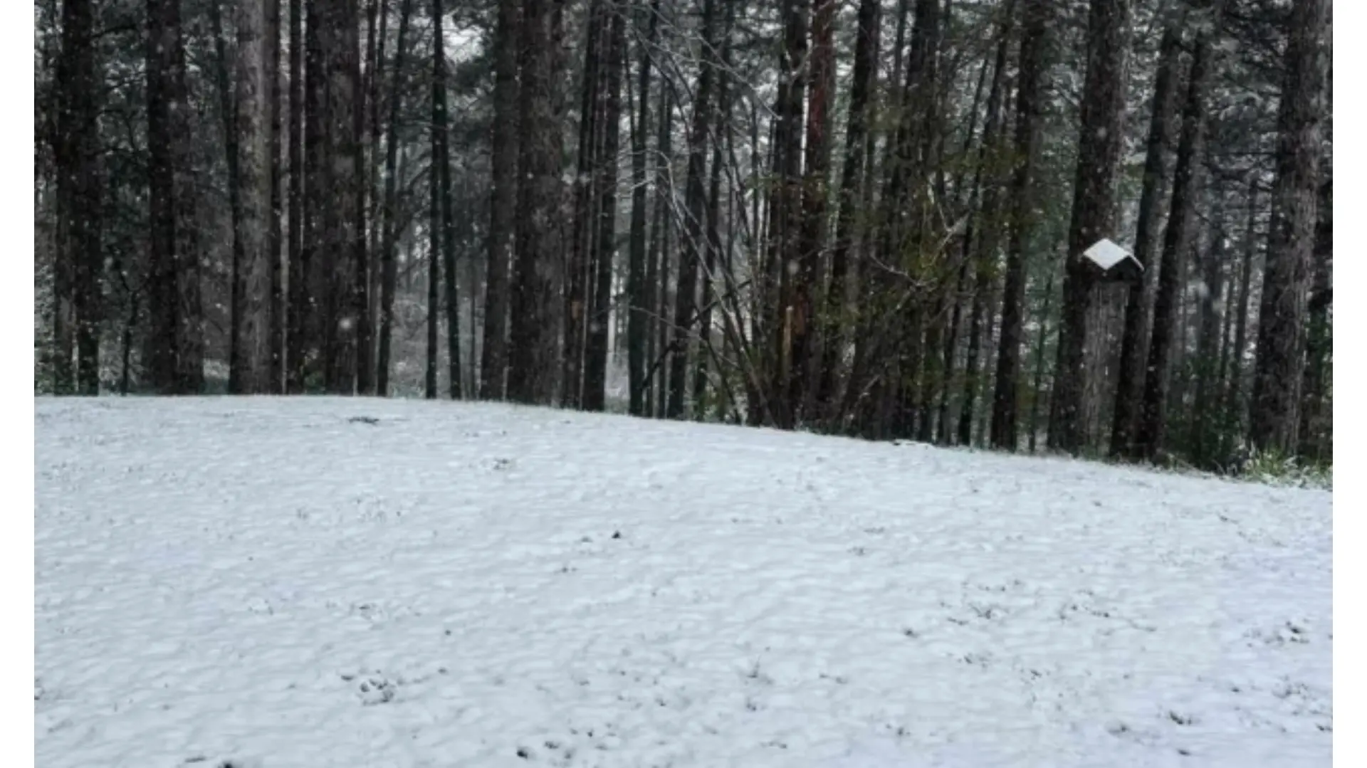 zlatibor sneg printscreen instagram zlatiborska_posla-69f30b2d19ec7.webp