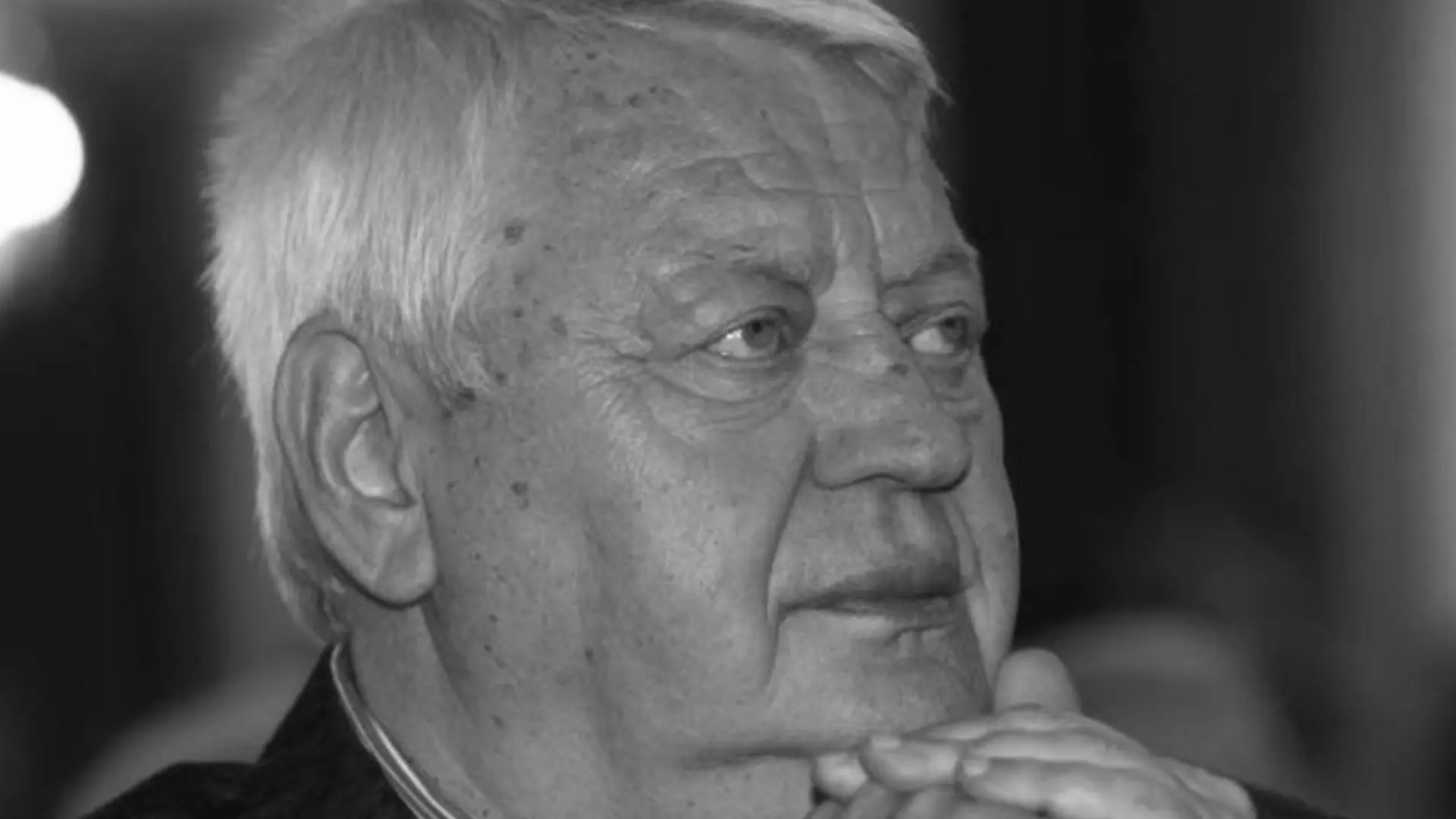 FSS, Vladimir Cvetković-69fb8d756a197.webp