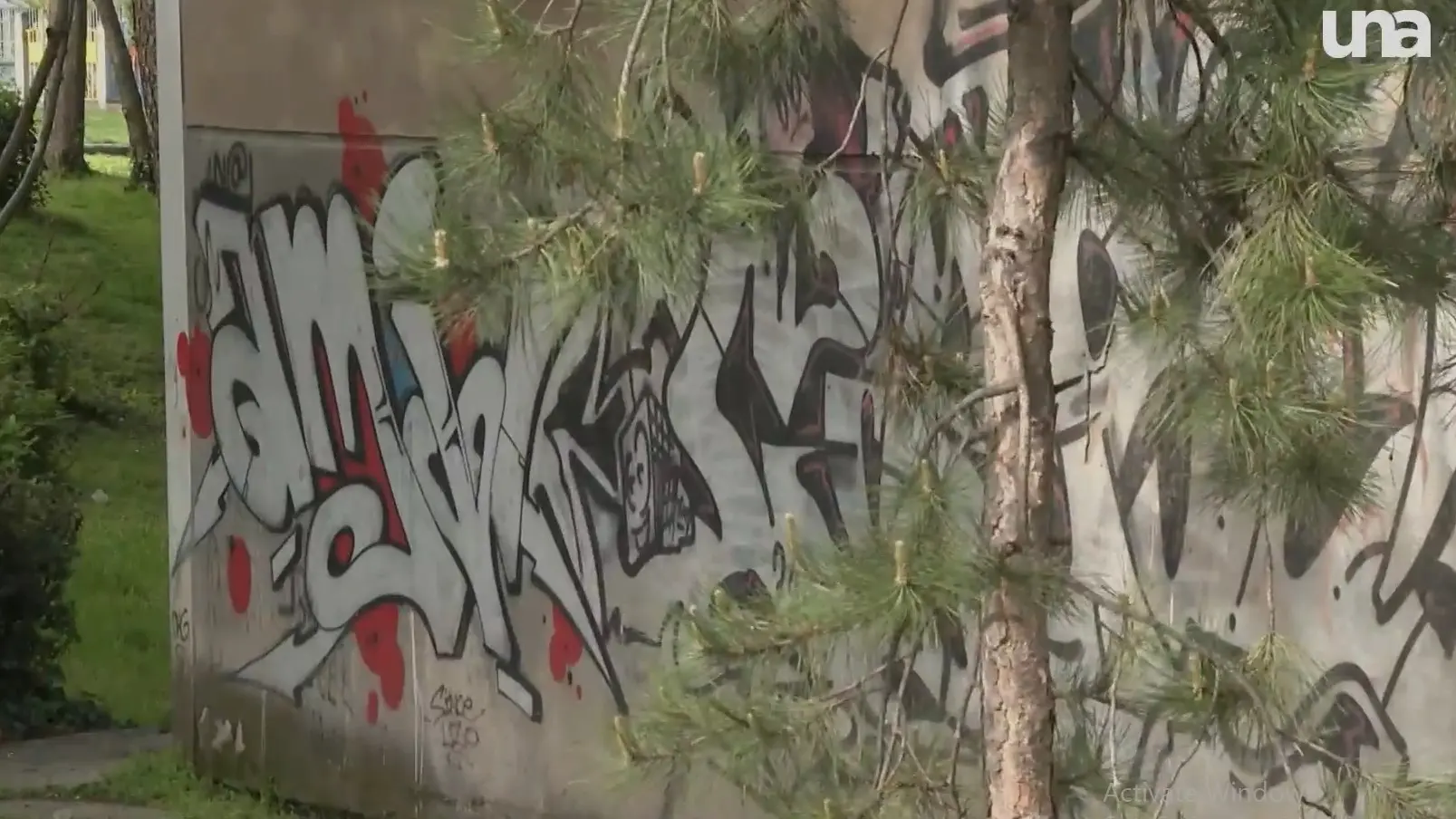 GRAFITI-6a1331899dafc.webp