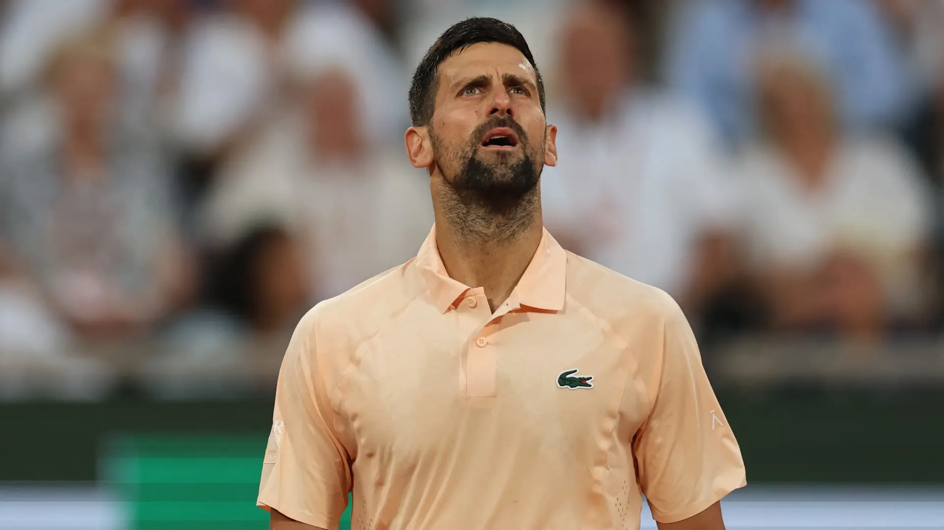 REUTERS, Novak Đoković (3)-6a1800089e82b.webp