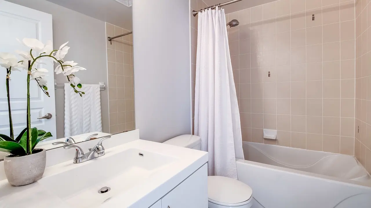 kupatilo, zavesa za tuš, kada, zavesa za kadu, pixabay-6a0db6f98ee06.webp