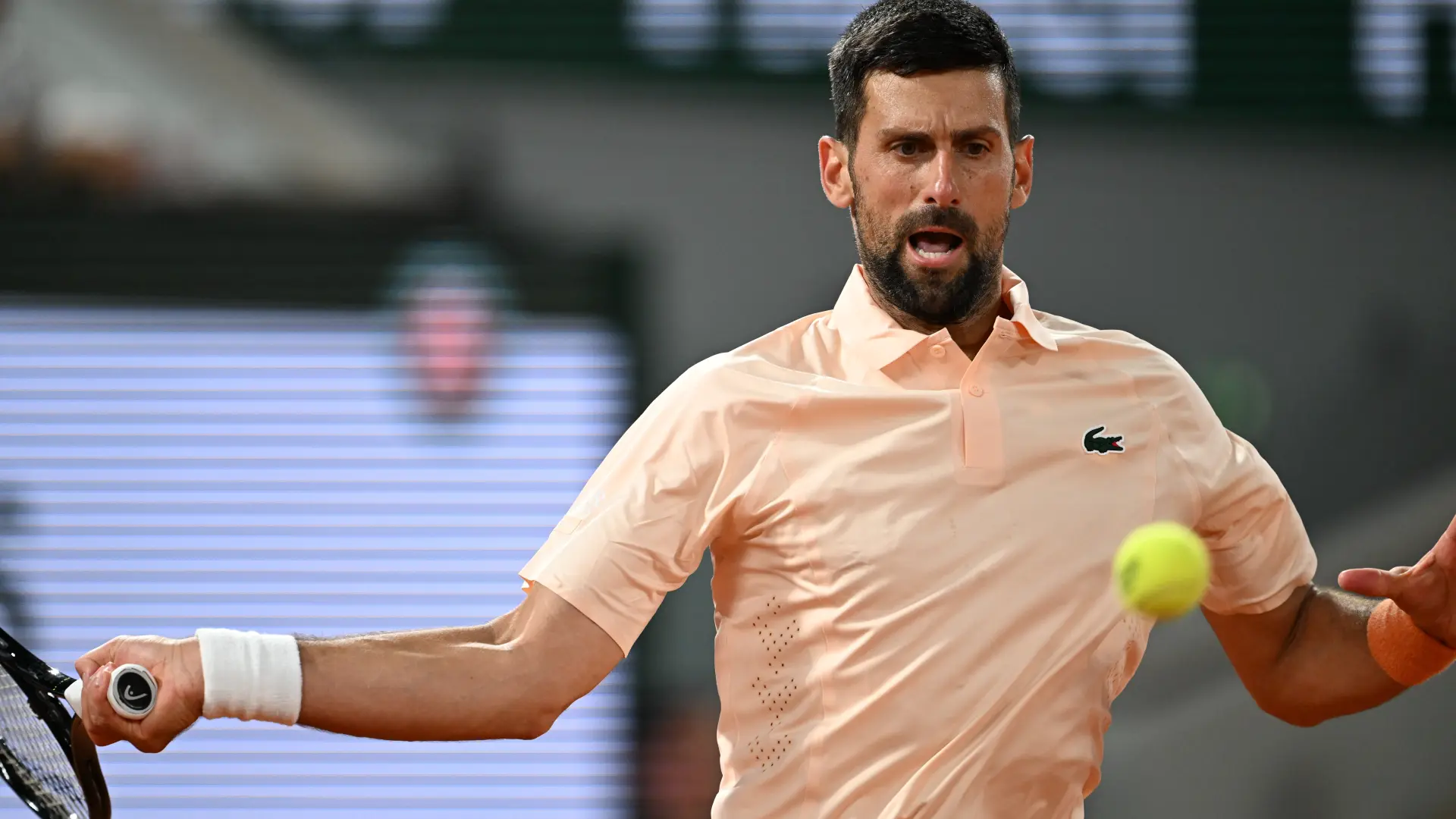 novak đoković AP PhotoEmma Da Silva-6a13e610b8bf4.webp