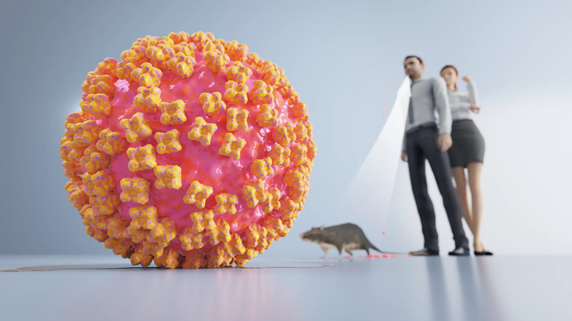shutterstock_1988685404 hantavirus hanta virus zaraza pacovi pacov-69fc322a7b808.webp