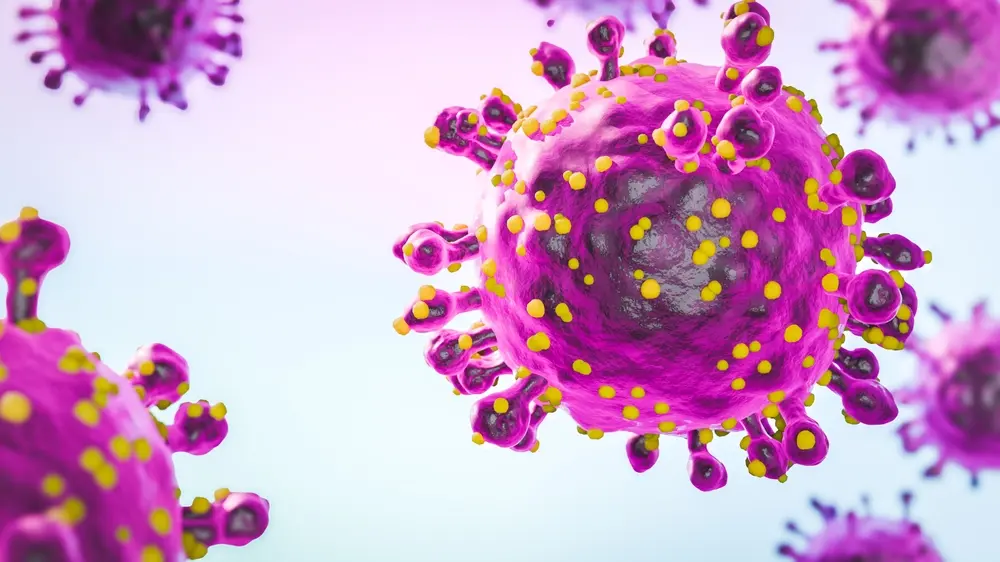 shutterstock_2499591503 bornavirus, virus, zaraza-6a1174c0736ad.webp