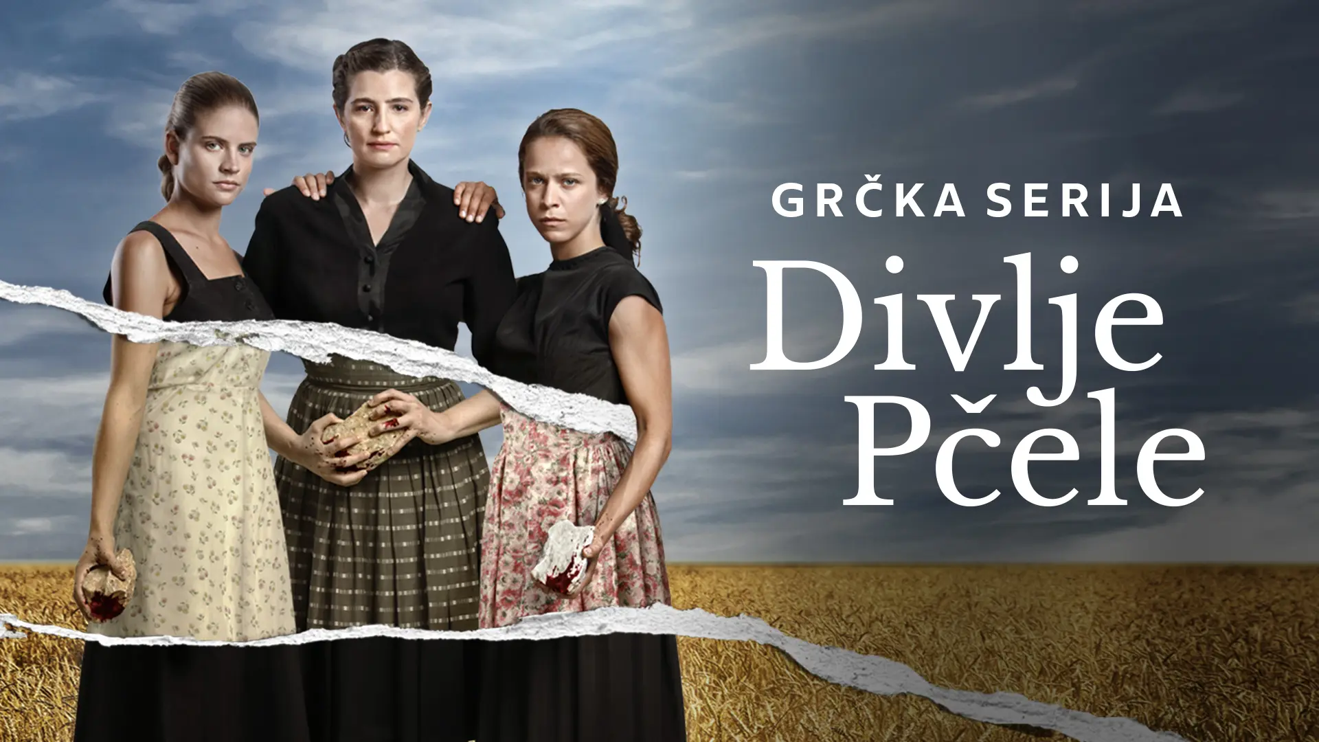 DIVLJE PČELE-6a2fd906a0749.webp
